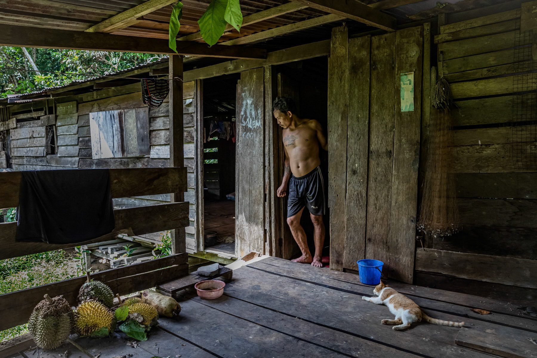 A Kayan indigenous person at the entrance of his long house deep in the jungle where several men from the community will stay several days while hunting and collecting tropical fruit like Durian. Rainforest in Sarawak, Malaysian Borneo, February 2020