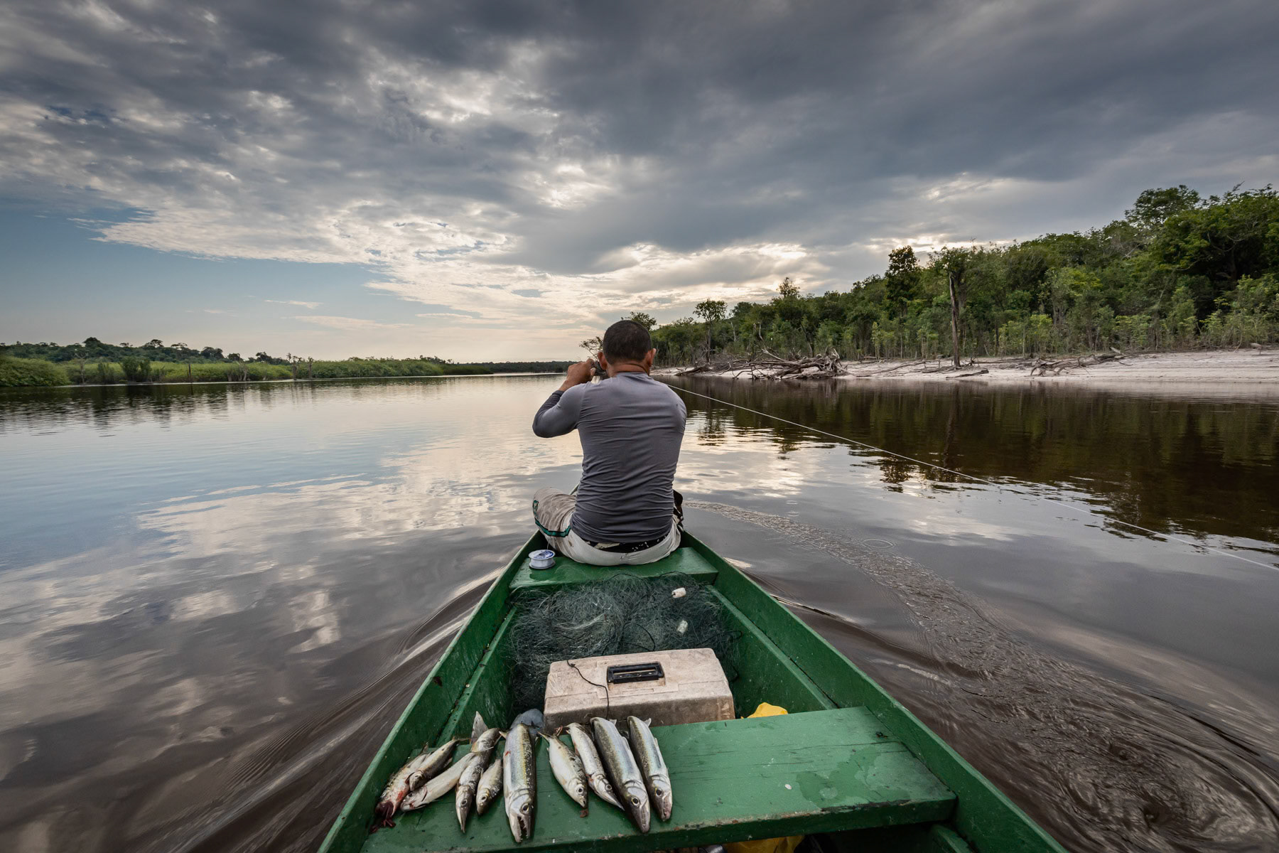 Fishing, Urubu river a tributary of the Amazon river. Amazonian rainforest, Amazonas state, Brazil, November 2020