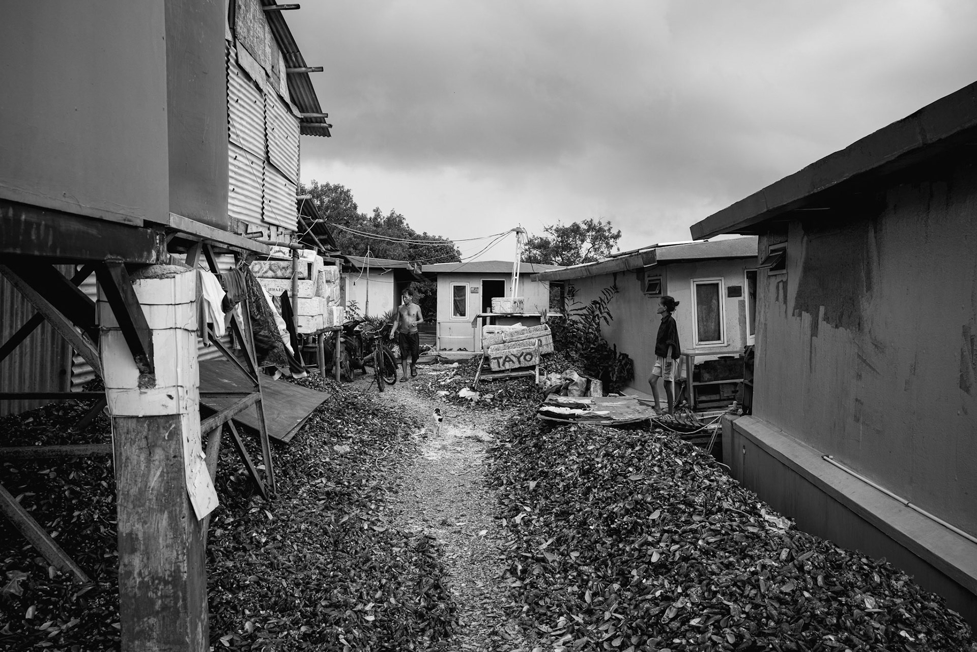 In the fisherman’s settlements of Muara Angke, discarded shells are repurposed as literal ground. This organic "pavement" is a constant, manual effort to level a soil that is perpetually sinking beneath their feet. Jakarta, January 2026