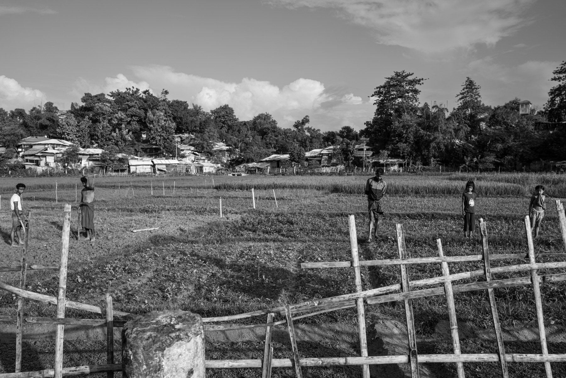 Rohingya refugees work in agricultural fields bordering the camp, tending crops and clearing land to support their families while navigating the challenges of displacement and limited resources. Kutupalong refugee camp, Ukhiya, Bangladesh, September 2025