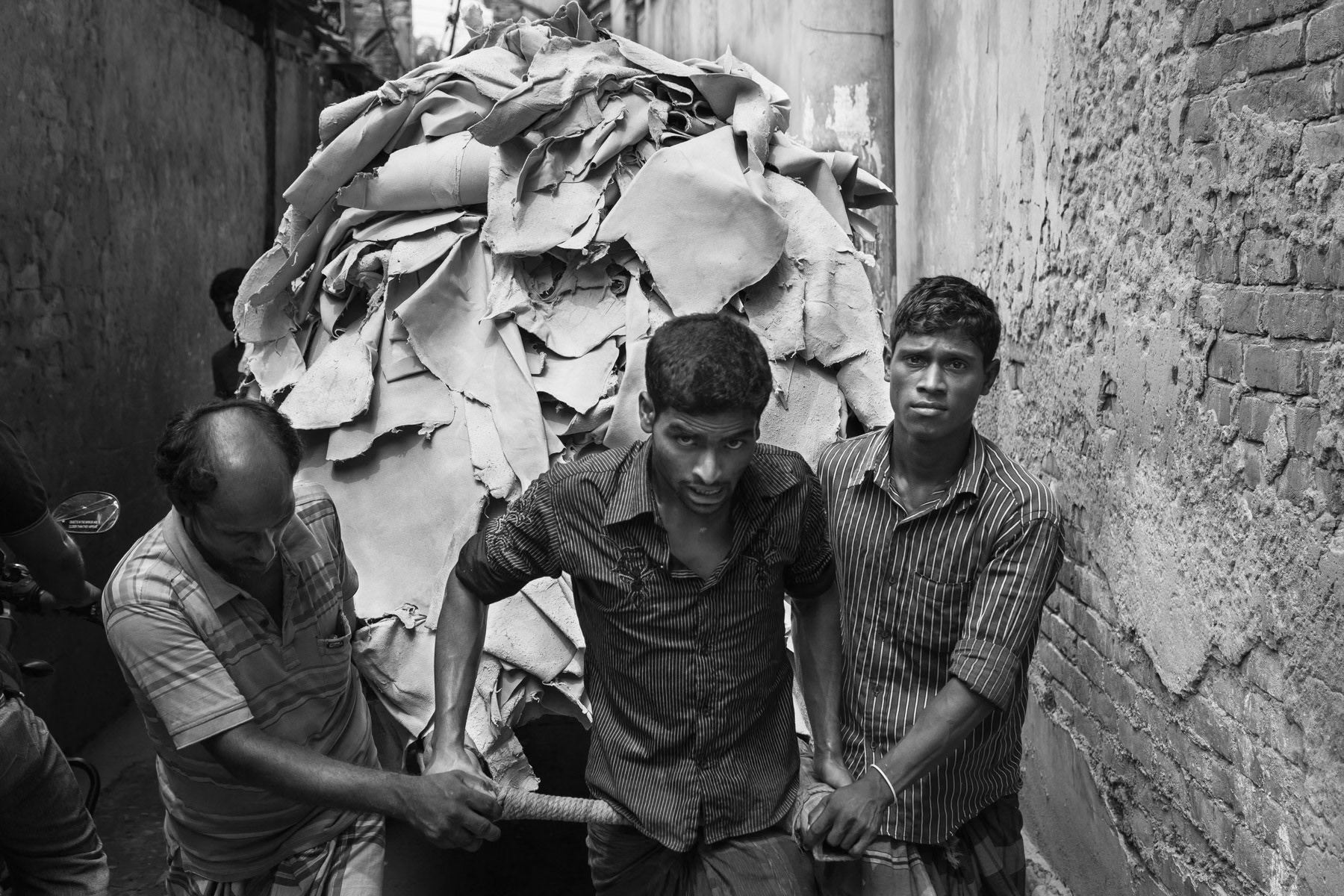 Skin transport through the narrow alleys of Hazaribagh, Bangladesh, October 2014