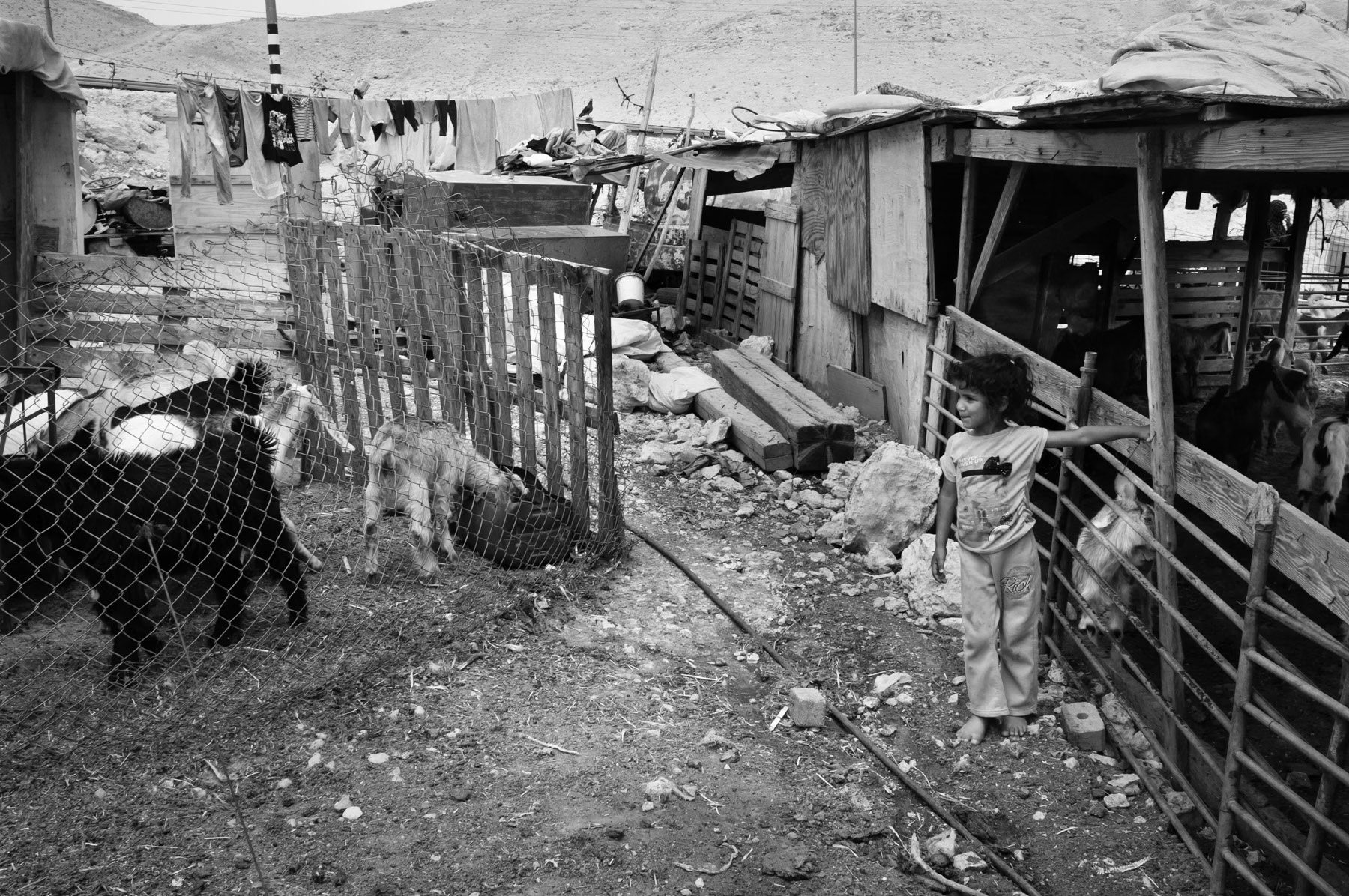 Bedouin community of Khan Al Ahmar in the West Bank, Palestine, May 2014