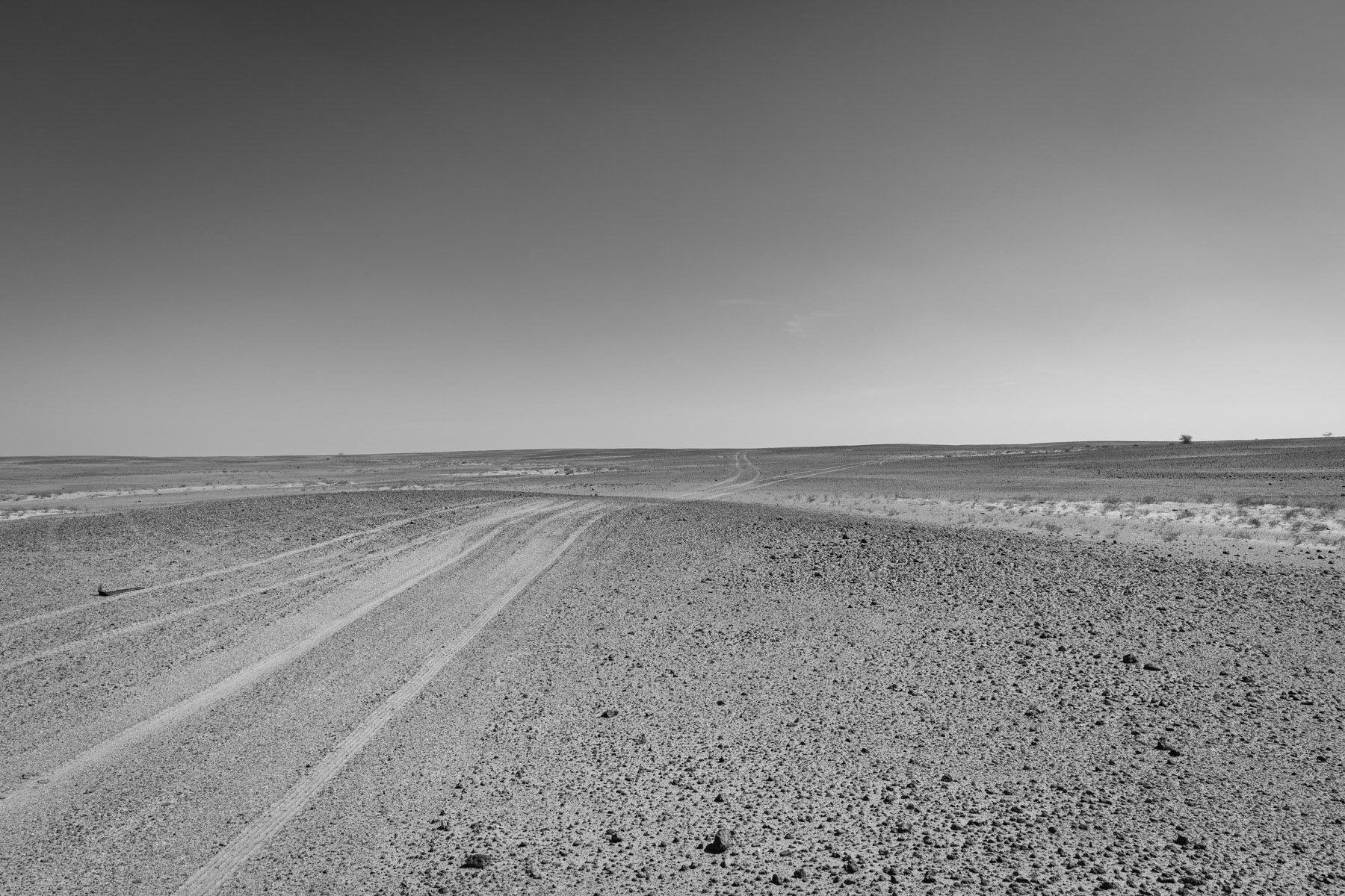 Endless stretches of desert in the contested territory of the Western Sahara. Mahbez sector of the second military region of the Sahrawi Arab Democratic Republic, October 2021