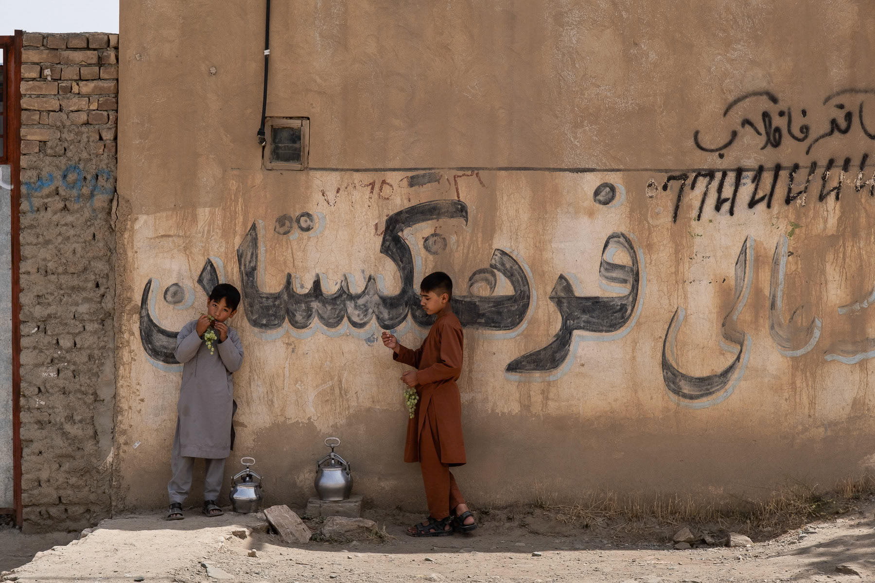 Afghan boys eating grapes, Dasht-e-Barchi in the outskirts of Kabul, August 2024