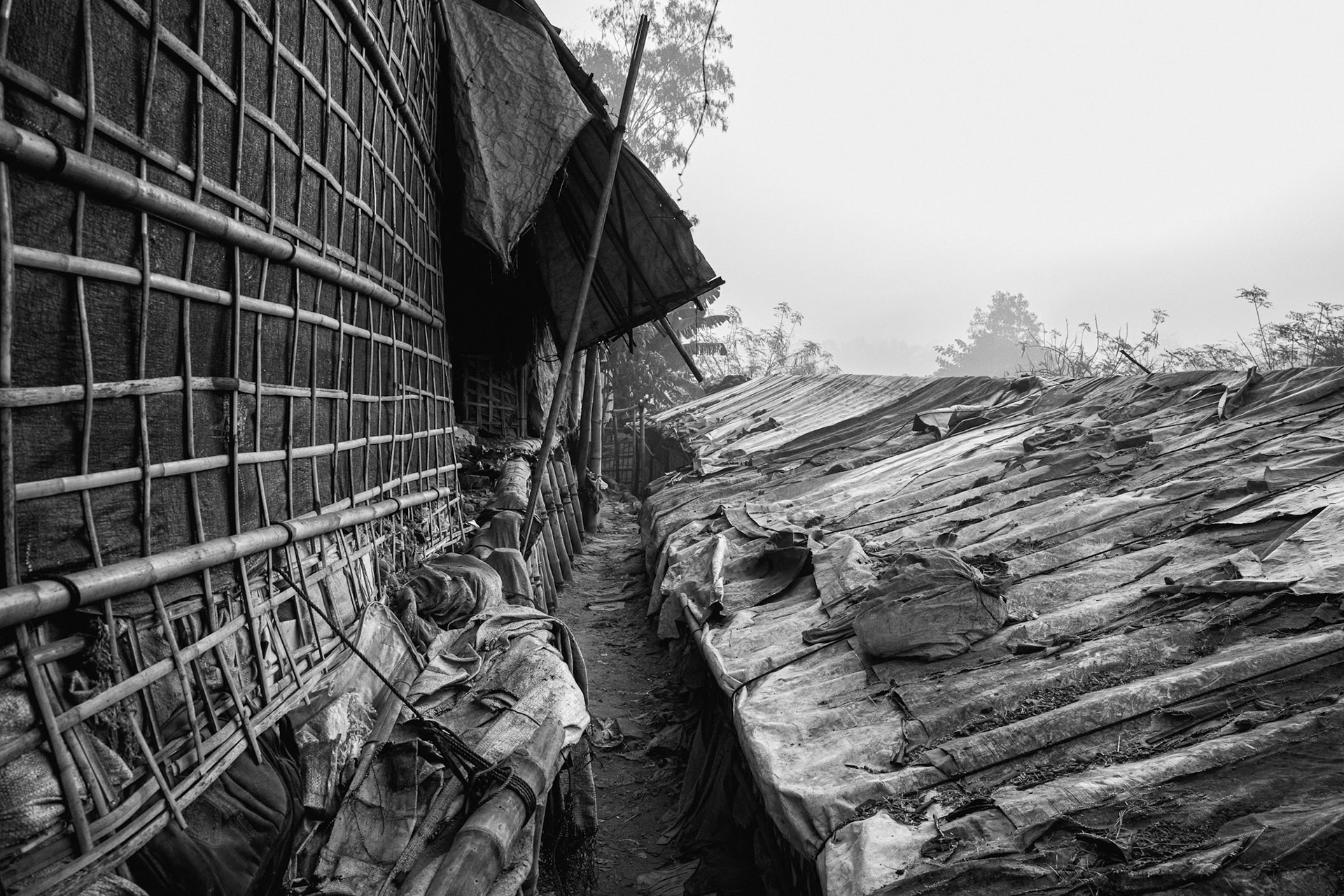 Close-up of bamboo wall construction. This lattice-work is the primary building material allowed in the camps, a stark reminder of the refugees' lack of permanent residency rights. Balukhali camp, Bangladesh, January 2026