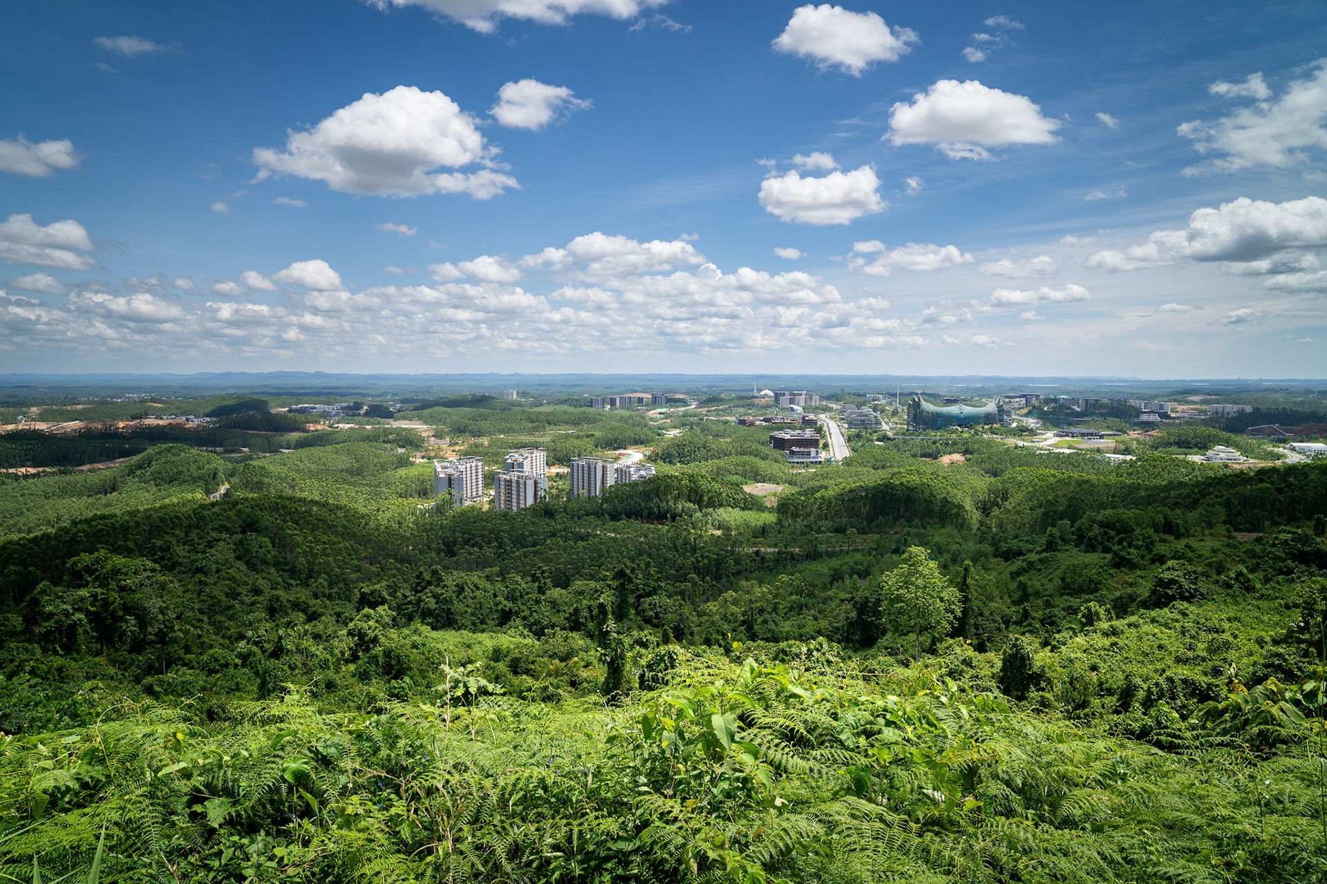 From the viewpoint, it looks like progress. On the ground, it feels like an expensive question mark. Ibu Kota Nusantara (IKN), Borneo, Indonesia, January 2026
