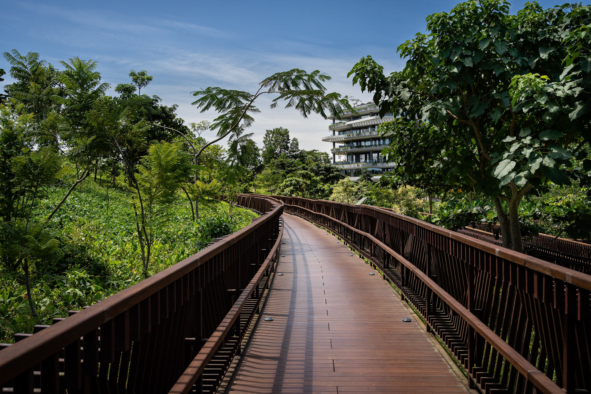 A boardwalk to nowhere. The environmental cost is permanent; the urban utility remains theoretical. Ibu Kota Nusantara (IKN), Indonesia, January 2026