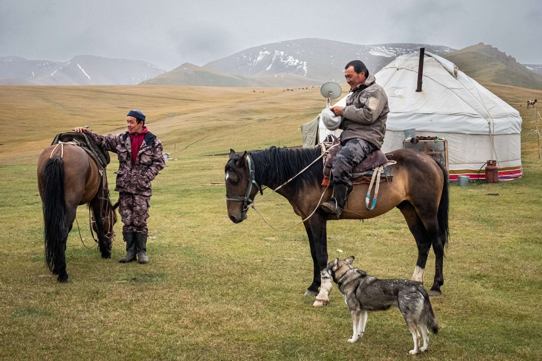 Livestock owners at their high altitude summer retreat where they find pastures for their livestock. Livestock is the main subsistance in Kyrgyzstan. Climate change, droughts and soil degradation are affecting their livelihood at unprecedented levels in the past years. Ak Tal, Naryn region, Kyrgyzstan, August 2021