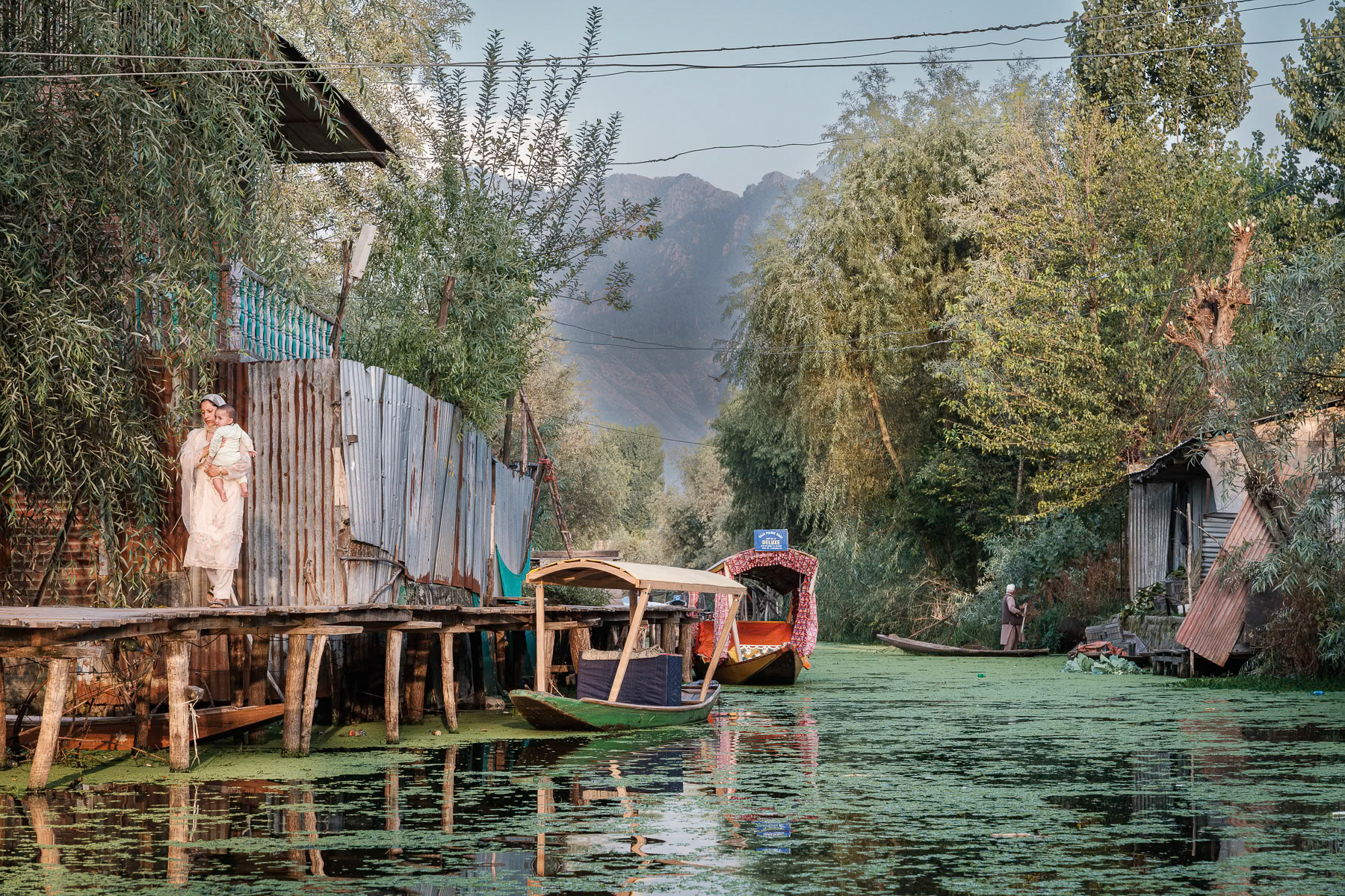 Kashmir is a disputed territory enclaved between India, China and Pakistan. Nuclear-armed neighbours Pakistan and India have fought 2 wars and numerous conflicts over Kashmir which is divided by a cease-fire line between the 2 countries. Since independance the Indian administrated part of Kashmir's status has been regulated by article 370 of the consitution which granted special privileges, a local constitution and assembly to the people of Kashmir. Even though the region has been frequently affected by violance between militants and the Indian Army, a certain degree of autonomy and self-governance was guaranteed through Article 370. The national(ist) government of India revoked Article 370 and amended the Indian constitution. The local assembly overseeing the Kashmir budget, education, and economic activity was dissolved, and many Kashmiri activists and senior local politicians were detained and transferred to India. Article 370 allowed Kashmir its own consitution, a separate flag and freedom to make laws. Security, defence and communications remained the preserve of the federal government. One of the main benefits of Article 370 for the Muslim-majority population of Kashmir was the ability to make its own rules and regulations related to permanent residence, ownership of property and fundamental rights. This greatly enabled a mechanism avoiding that foreigners or Indian from outside Kashmir could buy proprety or settle there. With Article 370 now revoked and recently confirmed by the Indian Supreme Court, it will be just a matter of time before the demographic character of the Muslim-majority region changes for good as non-Kashmiris will be allowed to buy land and develop real-estate projects. More than a million Indian military and police is present in Kashmir, which makes it one of the most dense security areas in the world where there is no direct conflict. All villages and cities are heavily guarded and sweeped on daily basis so that the hundred thousands of Indian tourists coming on mass tourism tours of a couple of days can feel safe and enjoy the extraordinary scenary. Despite the breathtaking landscapes and hospitability of Kashmiri, one can feel tangible tension and something similar to military occupation. Bach waters of Dal Lake in Indian administrated Kashmir, Srinagar, September 2023