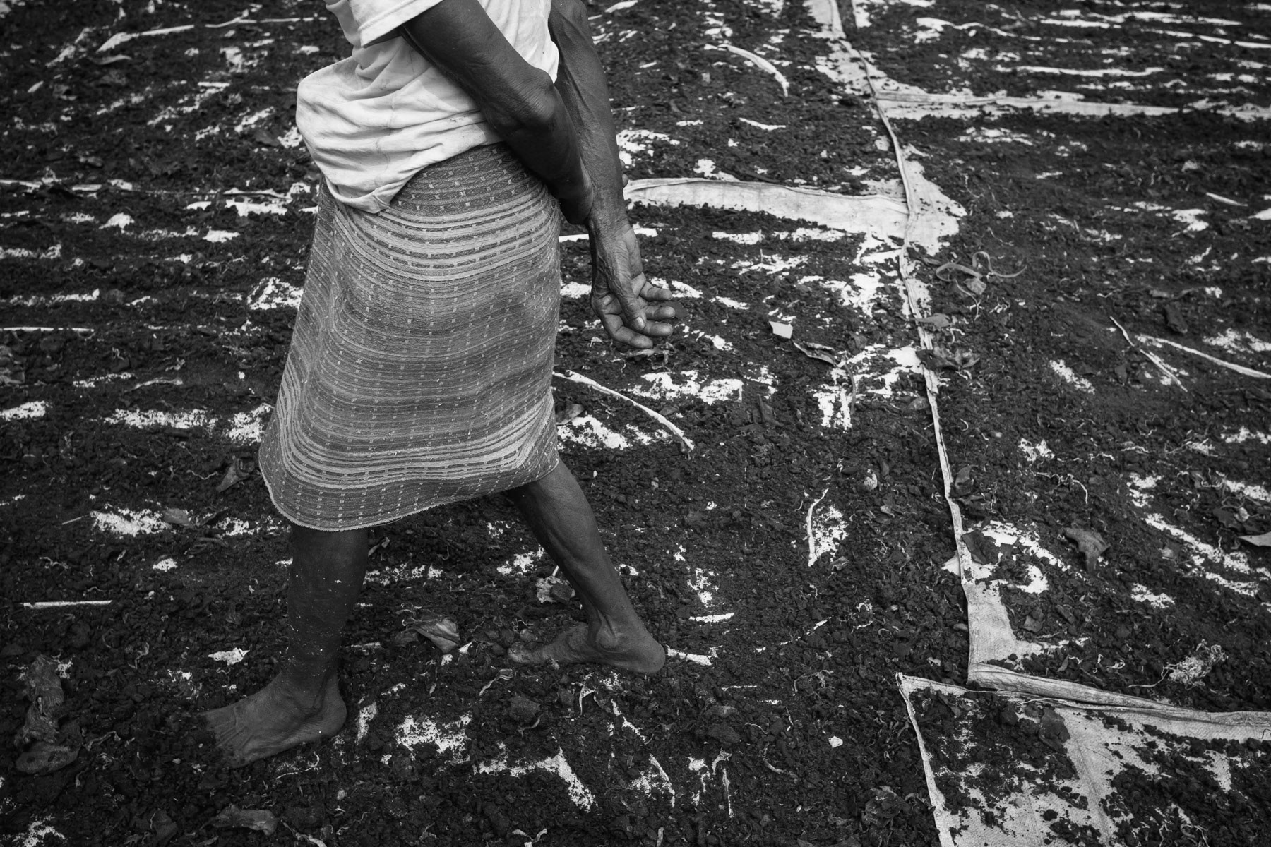 Sun-dryed chromium toxic residues used during the tanning process. This hexavalent chromium scrap is used as chicken feed. Studies have demonstrated that up to 25% of chickens in Bangladesh contain dangerous and harmful levels of chromium. Hazaribagh, October 2014