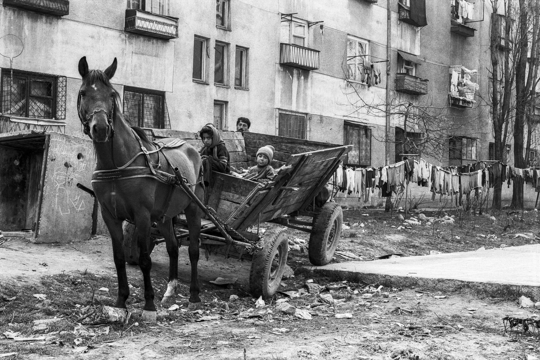 Romani people starting the day, periphery of Bucharest, April 1991