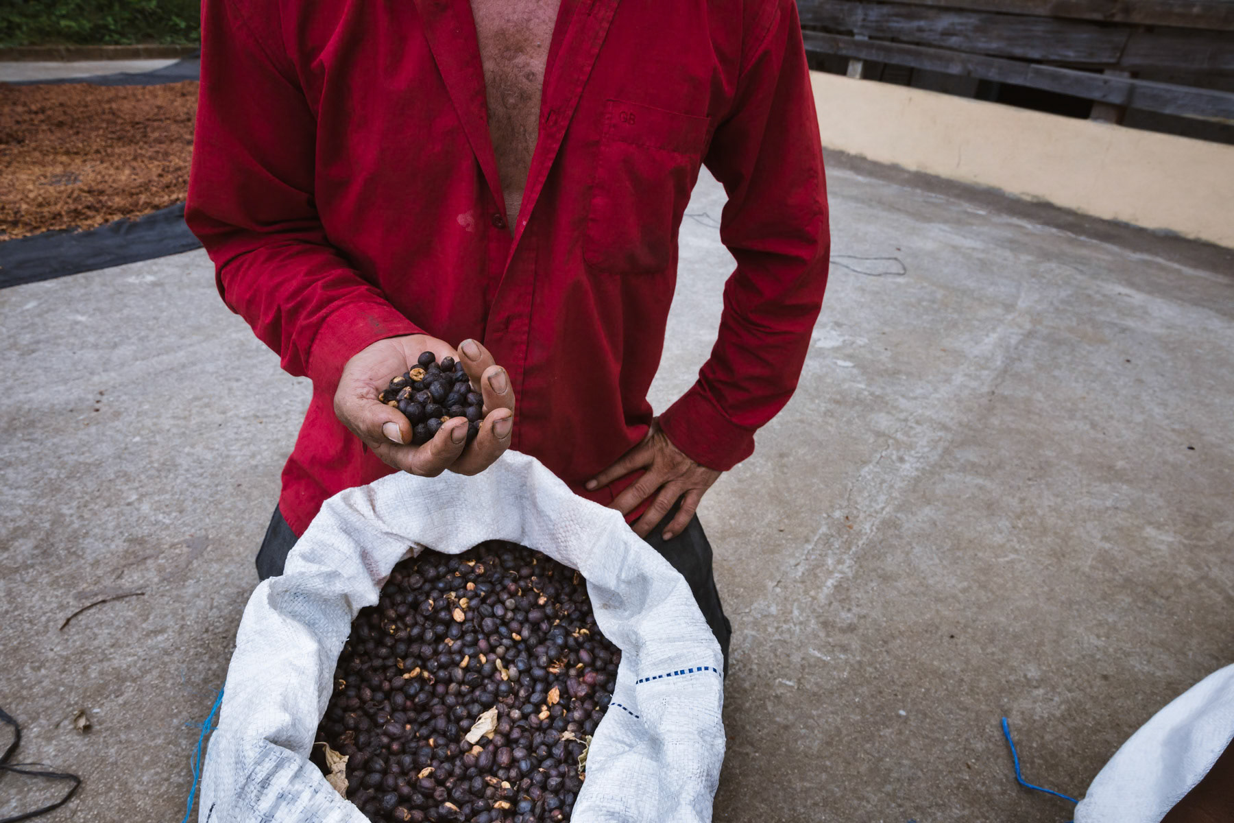 A coffee producers and his high altitude coffee harvest ready to be sold as exclusive quality. Due to climate change and rising temperature coffee producers plant the coffee at higher altitudes sometimes higher than 2000m what would have been unimaginable 25 years ago. El Pital mountains, Los Planes in San Ignacio region, El Salvador, April 2019