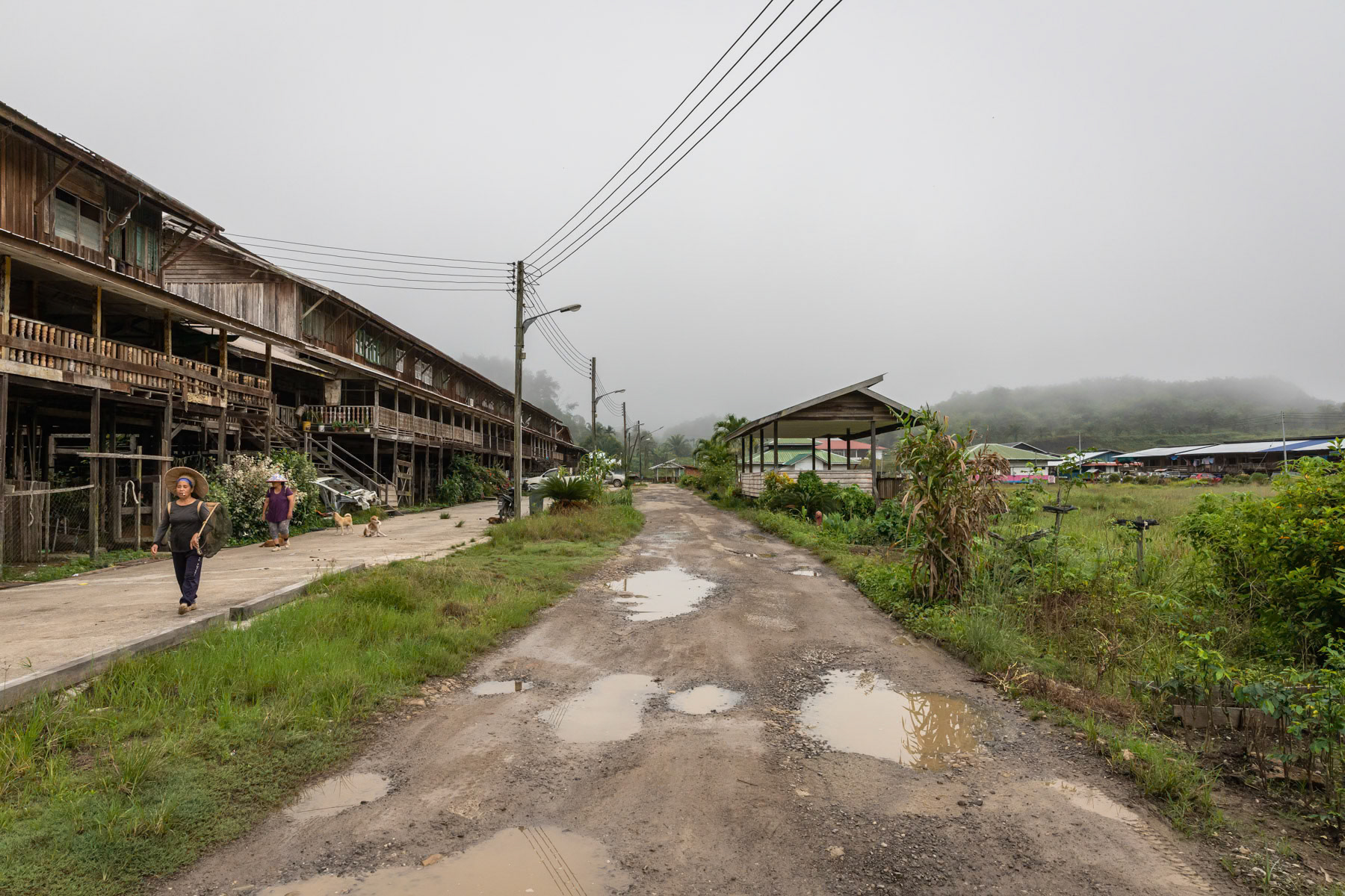 Women leaving their long house to go to the rainforest to pick fruit. Uma Bawang settlement, Asap in Sarawak, Malaysia, June 2022