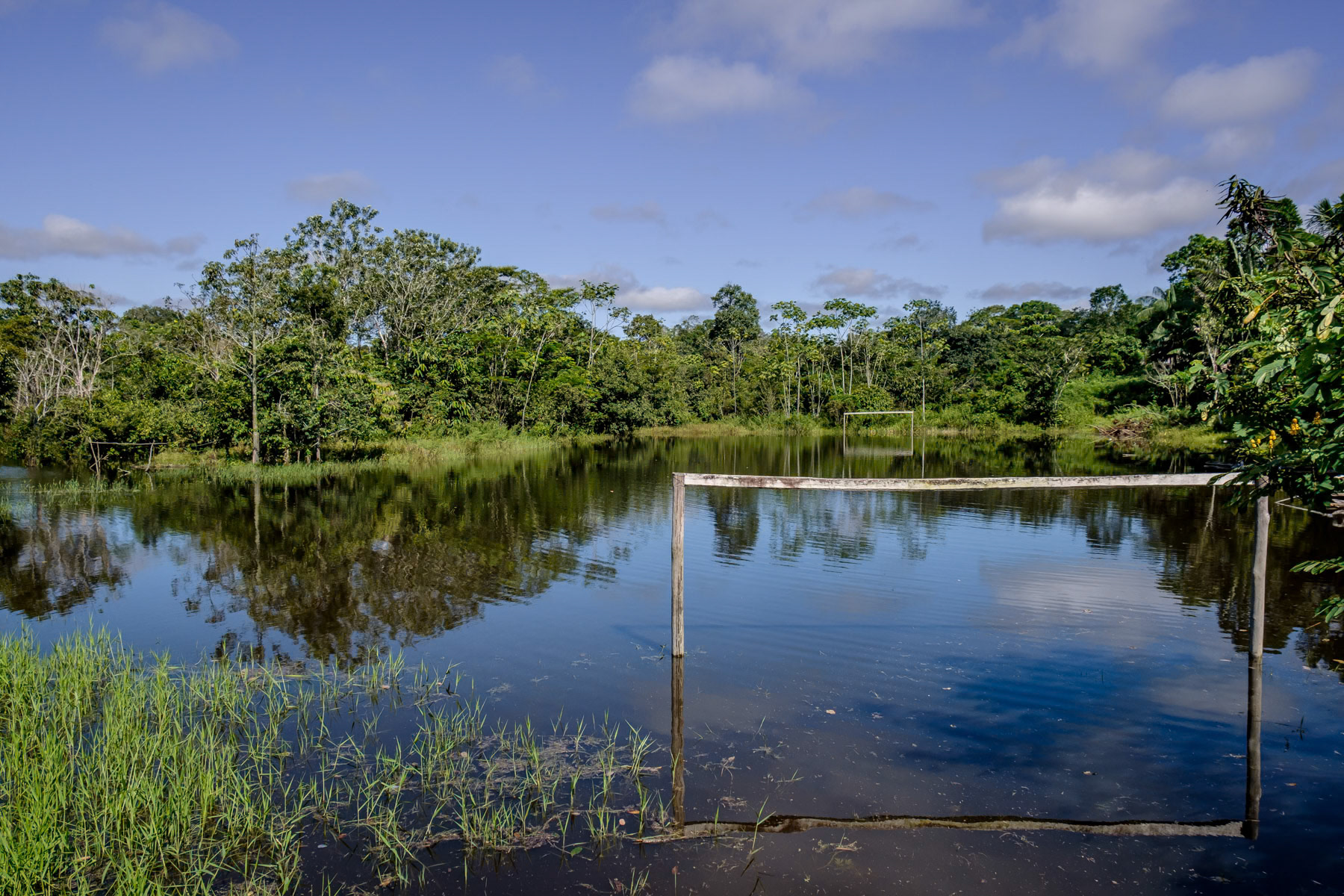 Flooded part of Santa Teresita village and its football pitch during the flooded season when water levels are up to 30m higher than during the dry season. Puerto Nariño, Amazonas, Colombia, April 2022