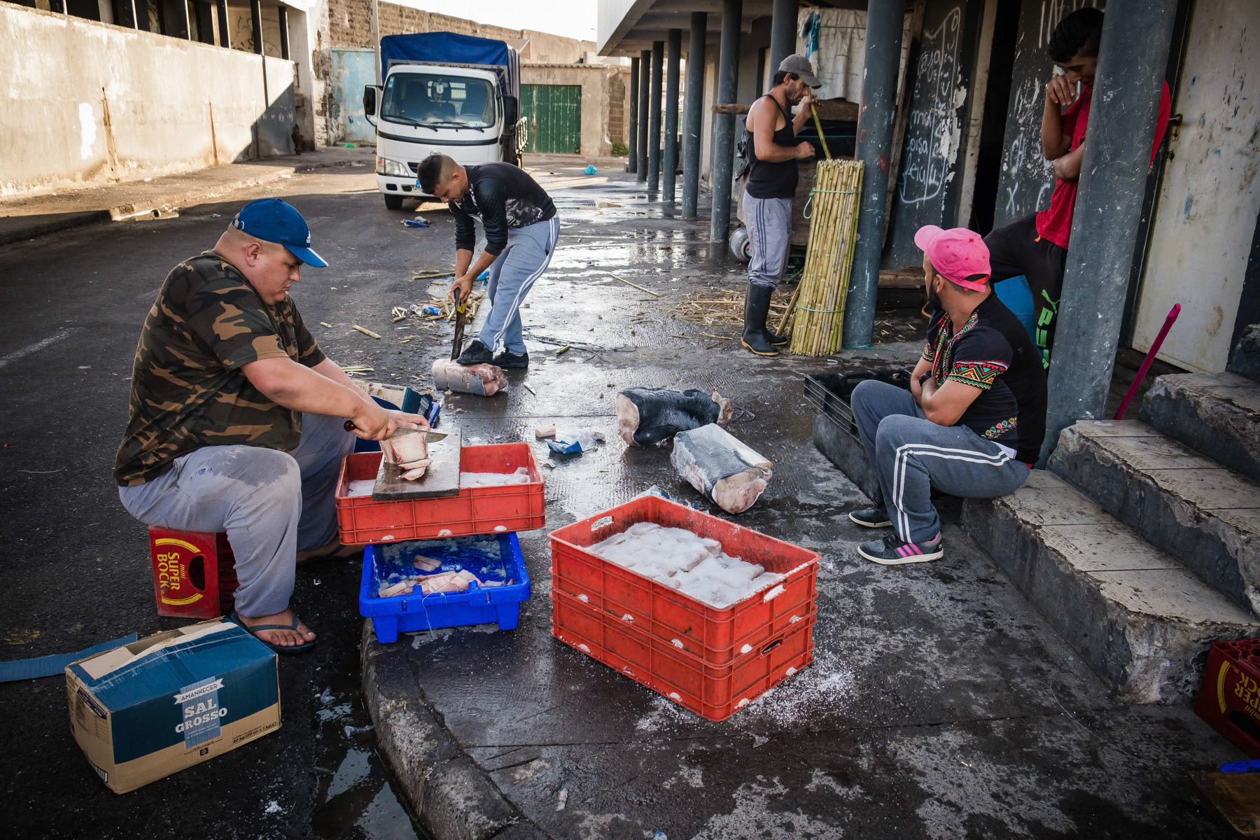 Preparing bait for the fishing lines. Rabo de Peixe, Azores, September 2018