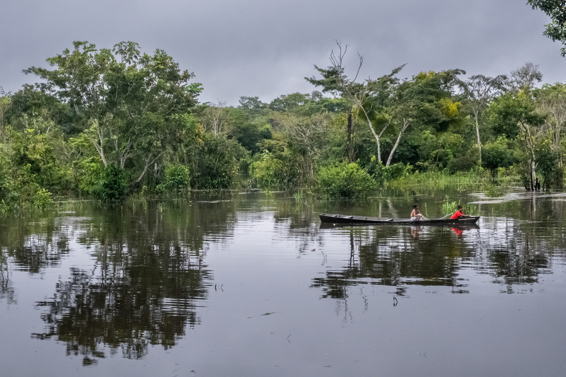 Children from the Caseiro Paraiso community fishing during the flooded season when water levels are up to 30m higher than during the dry season. Paraiso, Puerto Nariño, Amazonas, Colombia, April 2022