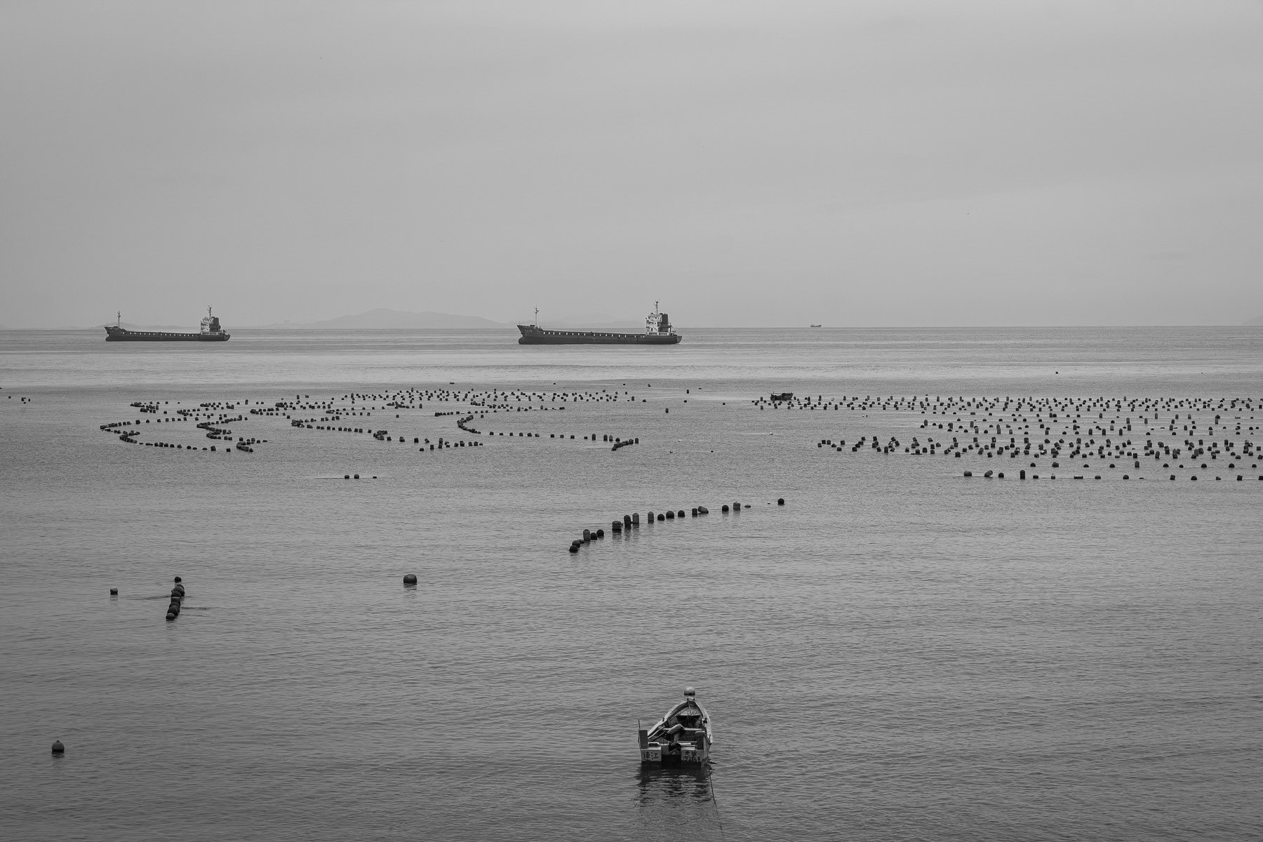 Mussel farm in Nangan Bay, Matsu Islands, Taiwan, May 2025