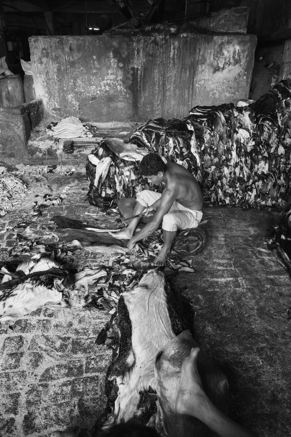 Preparing newly arrived skin before chemical process. Hazirabagh tanneries, Dhaka, Bangladesh, May 2015