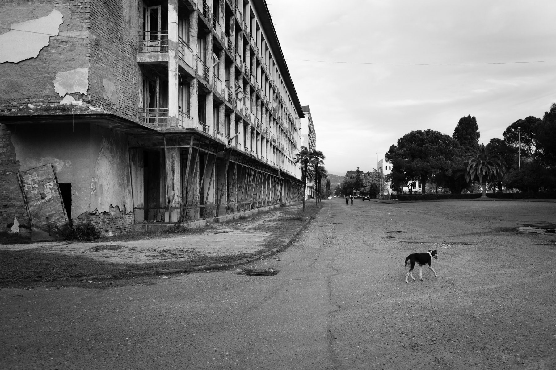 Ruined hotel on the sea front, Sukhumi, October 2013