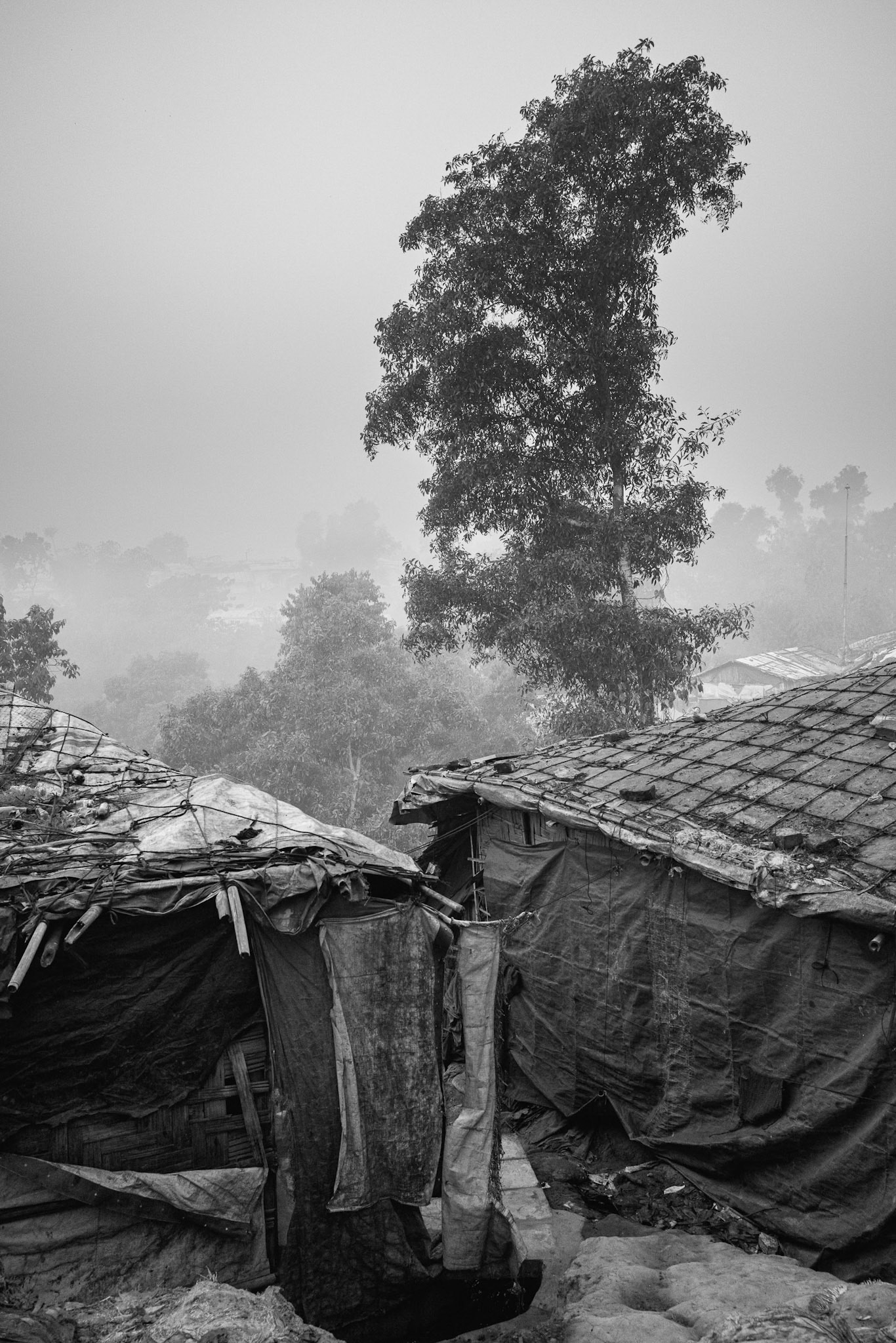 These "mega-camps" have transformed the landscape of southern Bangladesh into a permanent city of bamboo, housing a population larger than many mid-sized global cities. Balukhali camp, Bangladesh, January 2026