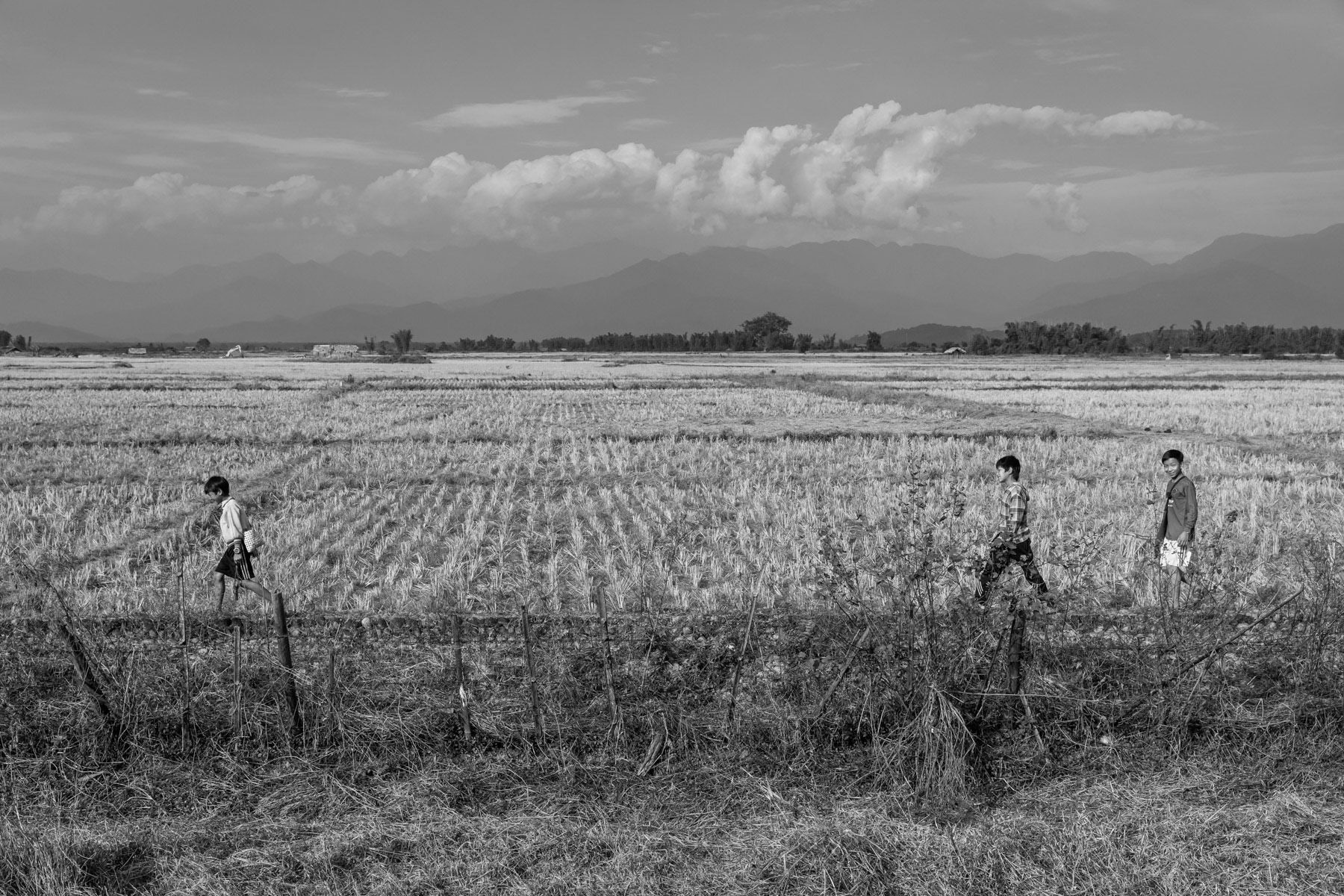 Kachin children walking through the rice fields, Puta-o, Kachin State, Myanmar, February 2020