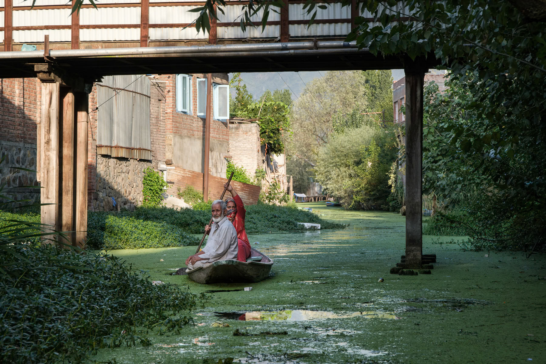 Back waters of Dal Lake in Indian administrated Kashmir, Srinagar, September 2023