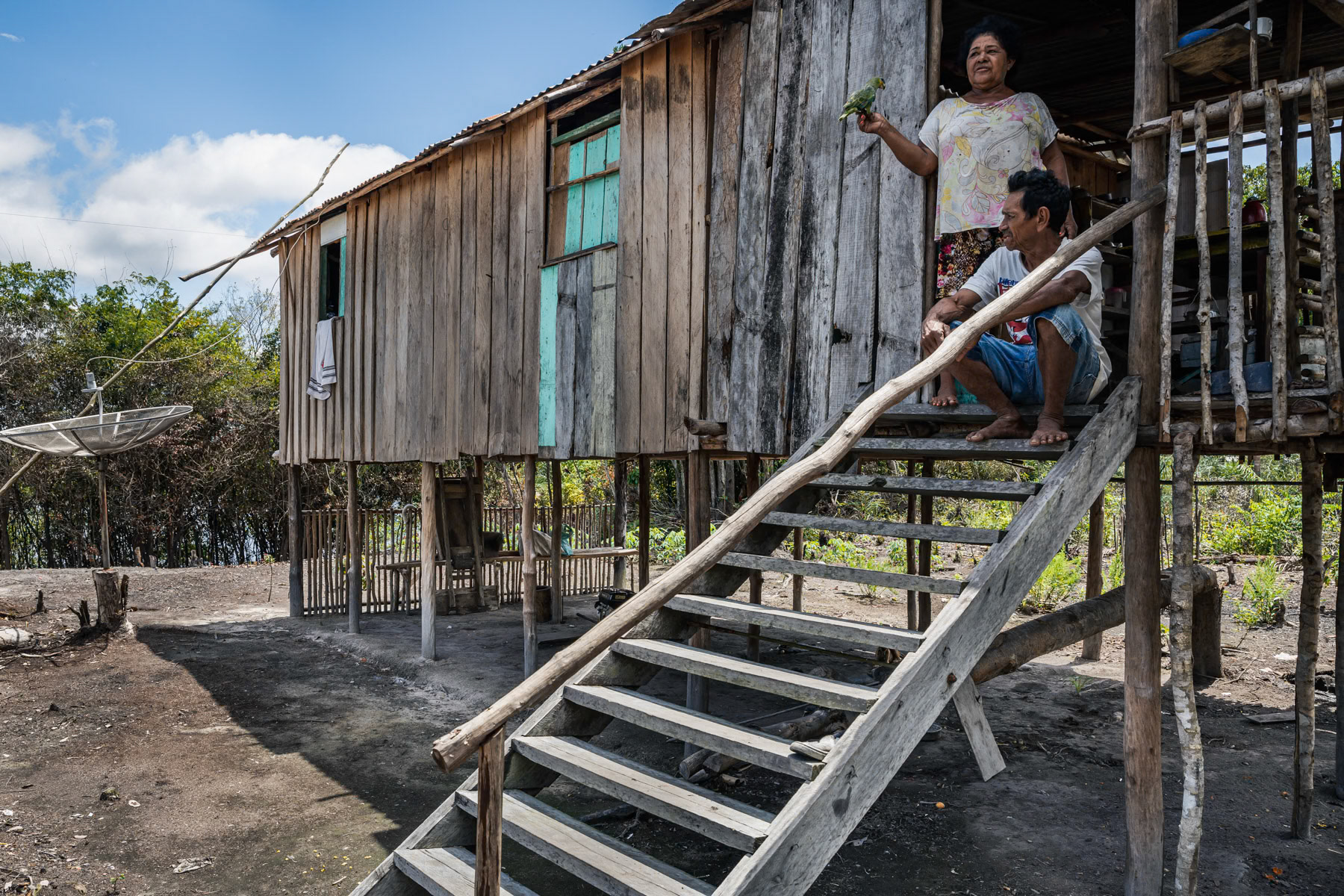 Indigenous people at their low key and small scale farm. Local communities would usually clear a 1000 m2 patch to build their small house and cultivate corn or maniok and keep few chickens. Part of the yield will be sold down stream in Lindoia, 2 hours away by boat. Amazonian rainforest, Amazonas state, Brazil, November 2020