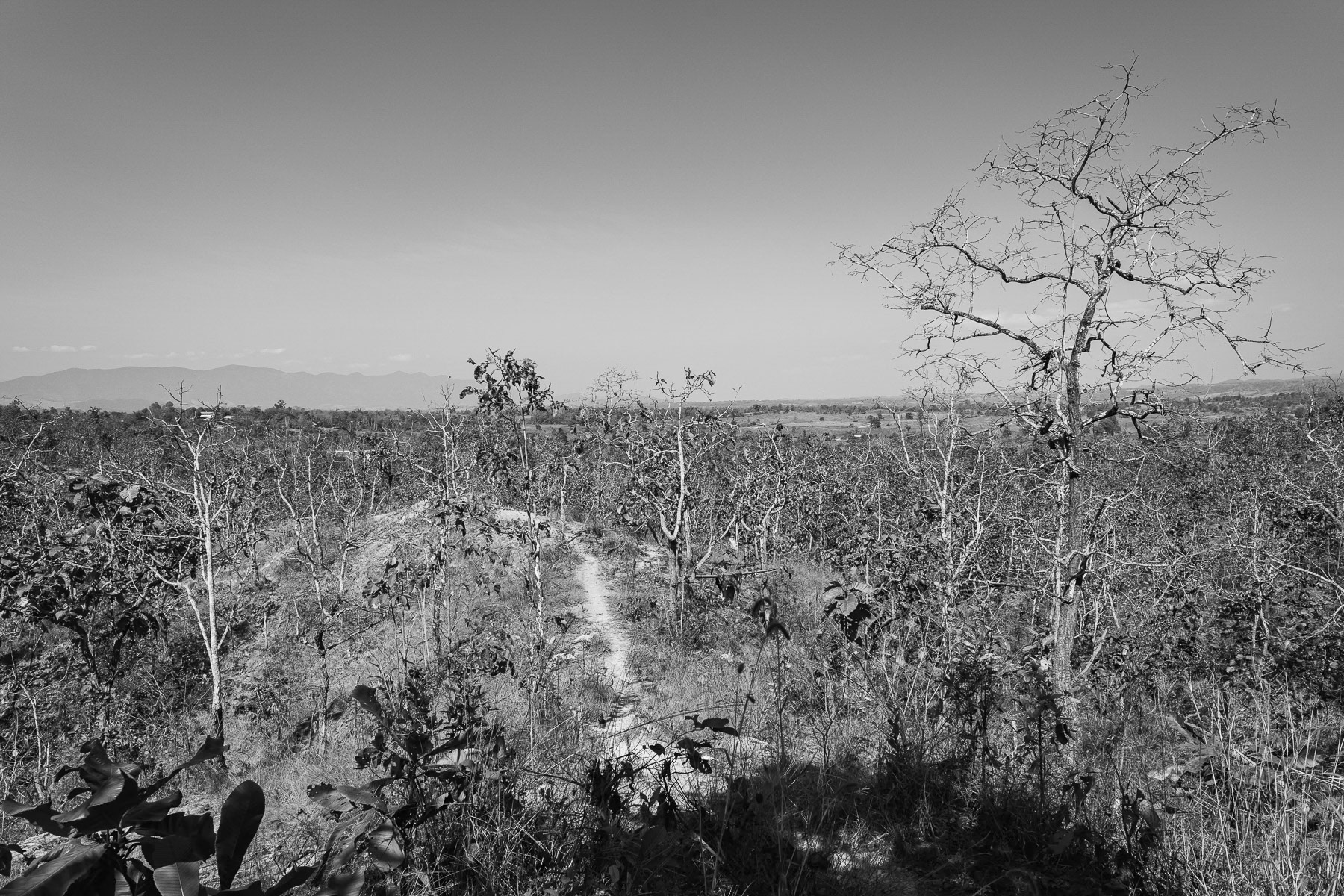 Trenches and defence lines around a Kawthoolei Army outpost in Karen State, Burma, January 2025