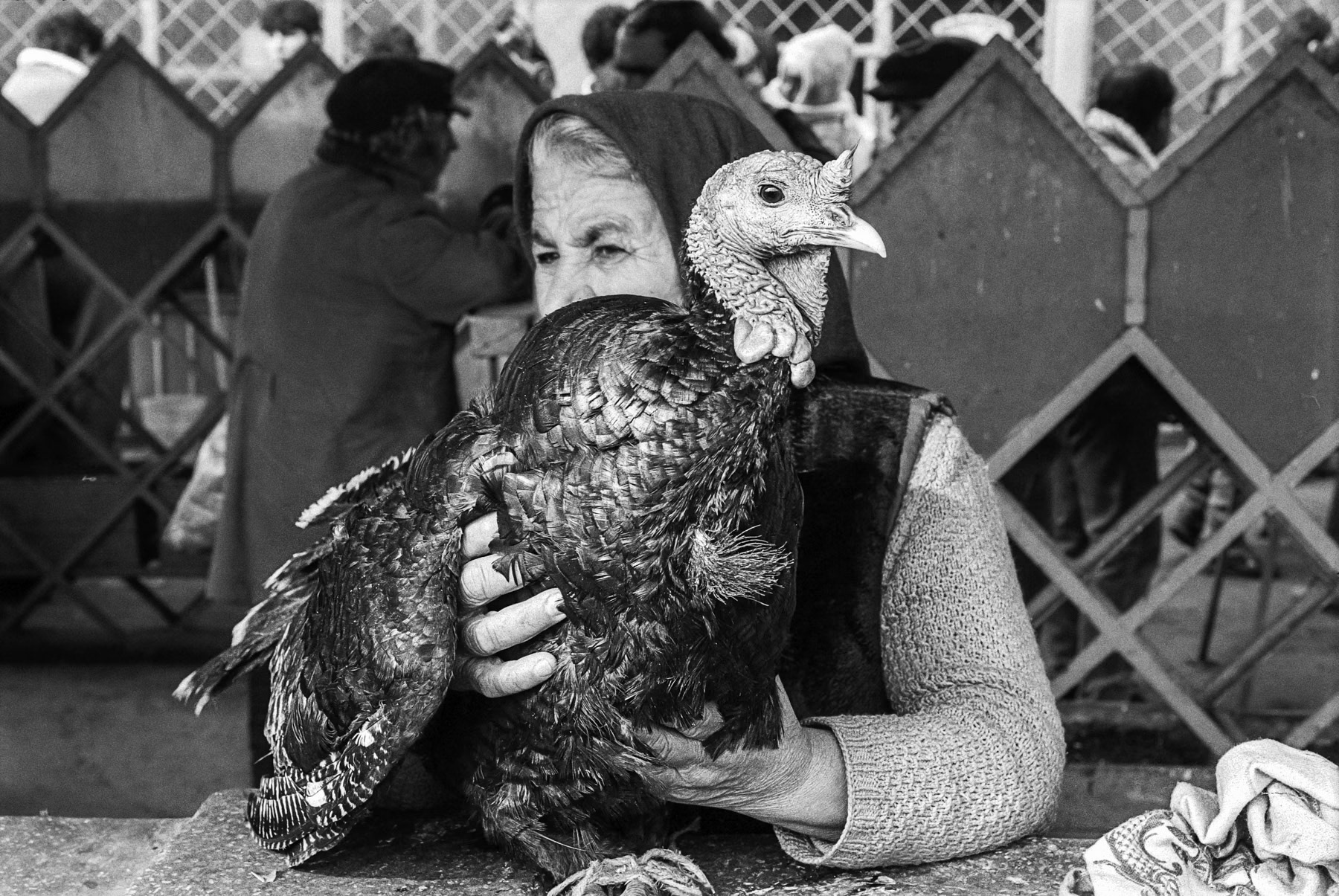 Poultry section, Bucharest, April 1991