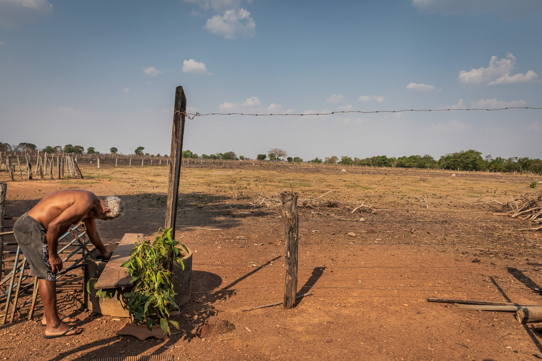 Zico, a cattle farmer, was allocated 20 hectares of land by the government under a social programme to become self-sustainable. He owns in average 20 cows that he can hardly feed during the prolonged periods of accute drought. Barreirão near Nortelândia, Mato Grosso, Brazil, September 2020