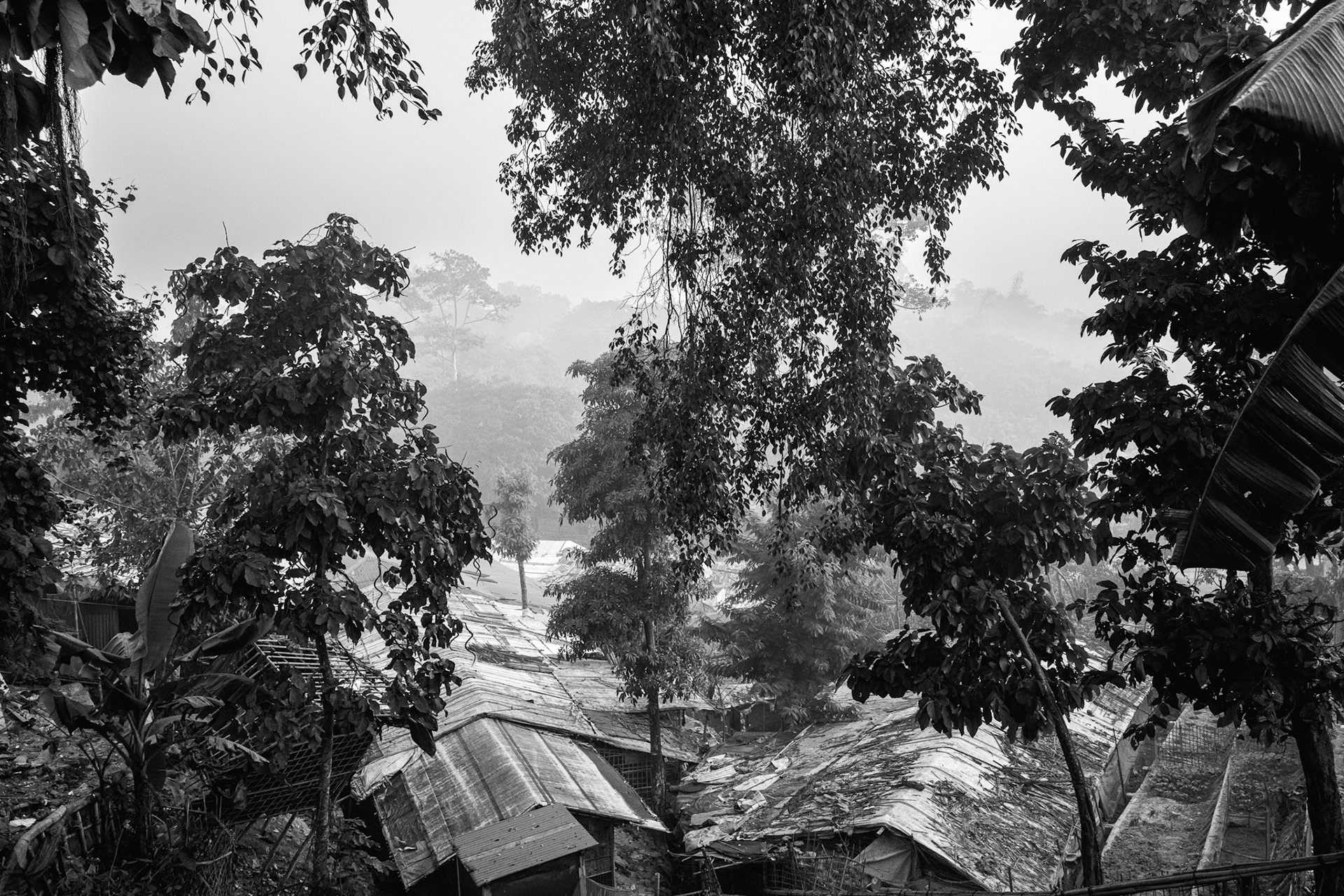 While some trees remain, most of the original forest was cleared during the 2017 exodus to make room for the hundreds of thousands of fleeing Rohingya. Balukhali camp, Bangladesh, January 2026
