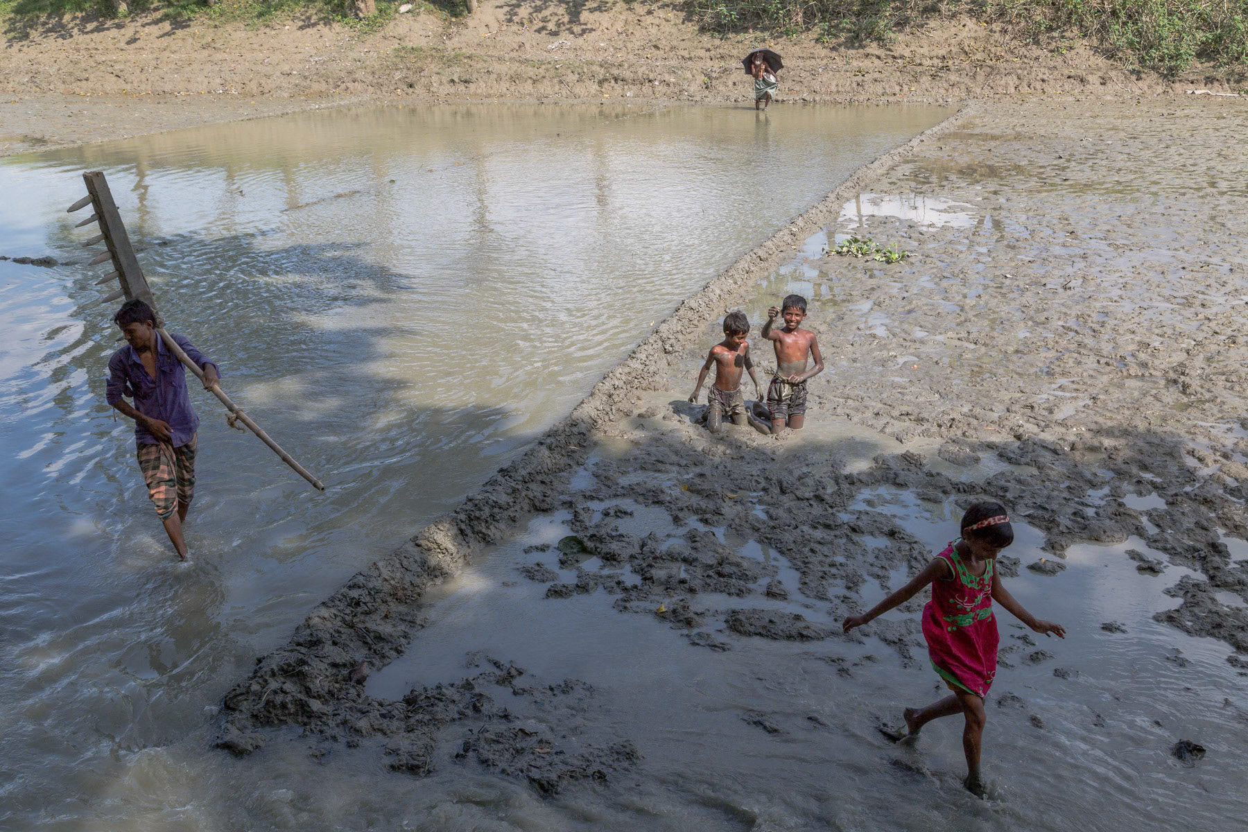 Children catching small fish, Sanatola Char on the Jamuna river, Bangladesh, October 2014