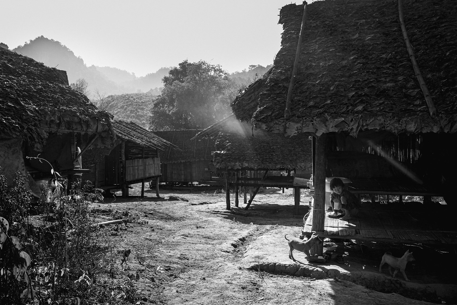 Sunlight filters through the Kanele Htaw camp. Despite the serene appearance, the camp remains a high-alert zone as the Myanmar military increasingly ignores the proximity of the international border during its operations. Kayin State, Myanmar, January 2026