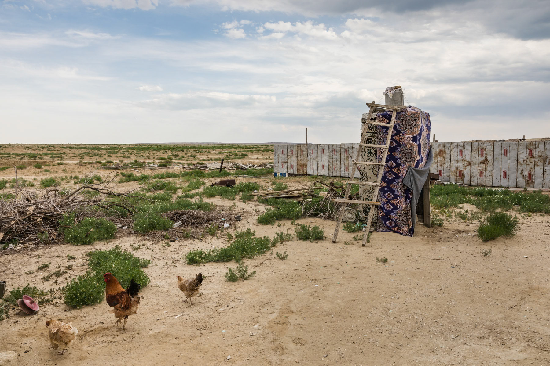 Tastubek village near the Aral Sea, Kazakhstan, June 2019