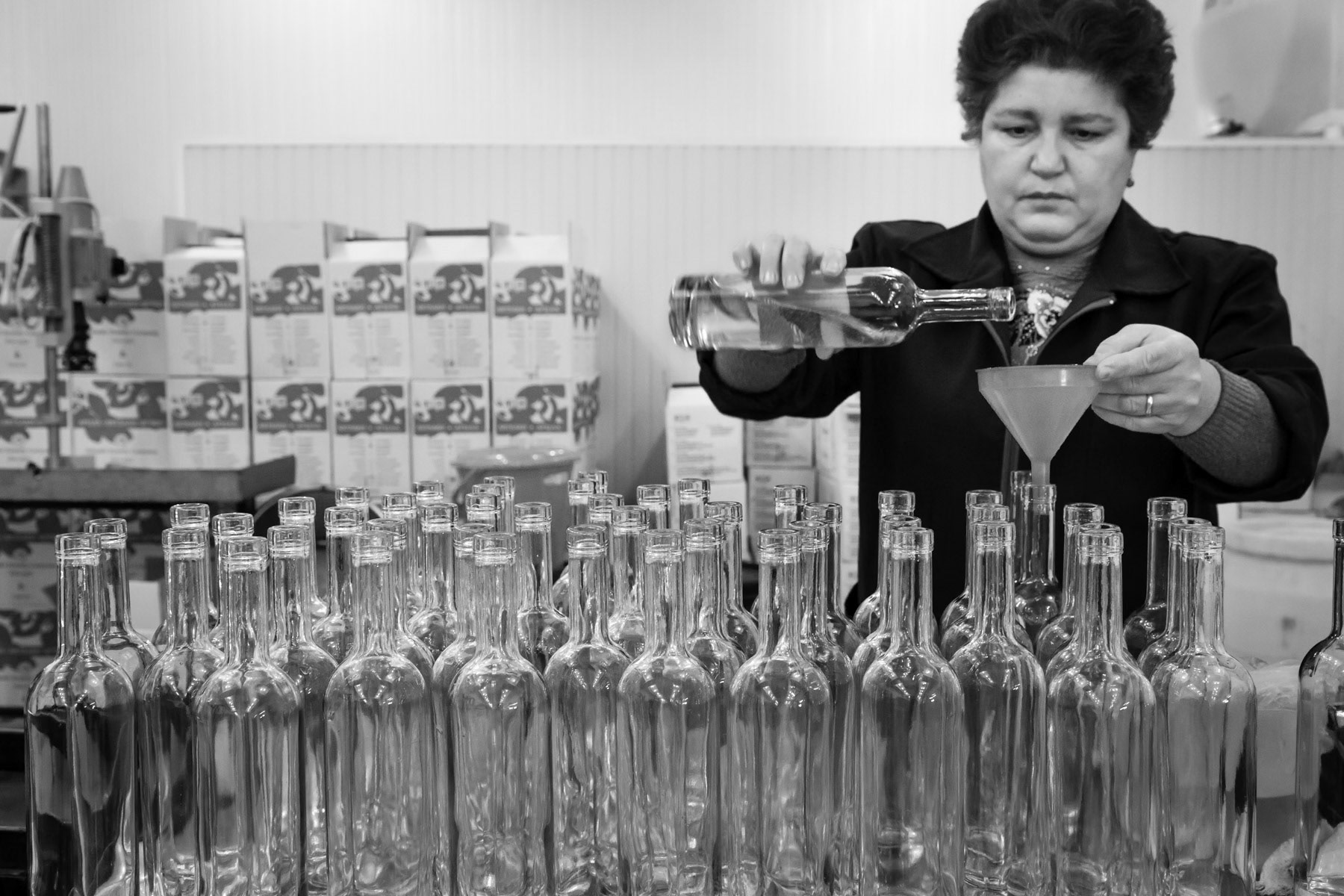 Brandy factory, mulberry brandy one of Karabakh's specialities. Askeran, February 2014
