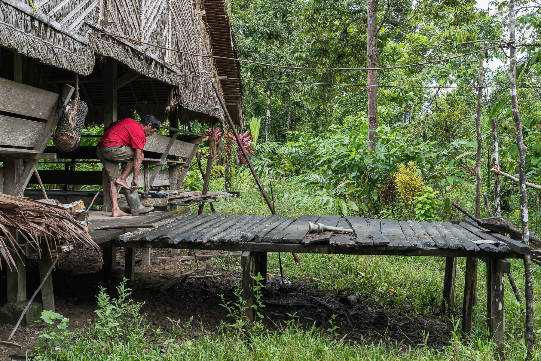 Traditional Mentawai house in the rainforest of Siberut in the Mentawai islands. Indonesia, December 2024
