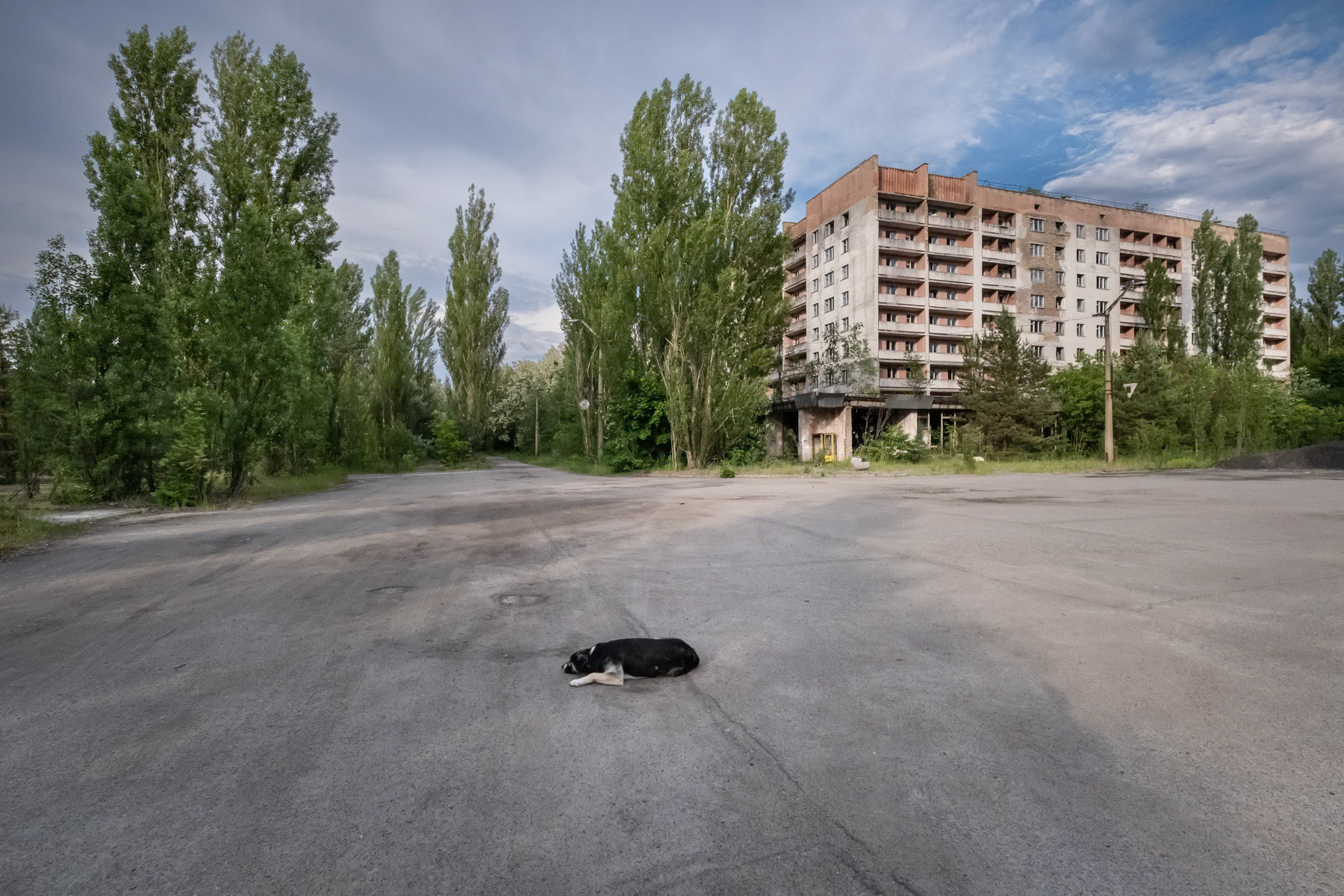Pripyat town was developed alongside the nuclear power plant to house staff and their families. Before the disaster it consisted of 5 districts, each of them with well-developed infrastructure. There were 5 schools, 14 kindergartens, a cinema, swimming pools, theatre, shopping centres and residential buildings for 30,000 people with extensions planned of at least one more district near the port area. The complete population of Pipyat was evacuated 36 hours after the disaster to never return again. Pripyat is now an overgrown ghost town where time stood still on 27 April 1986. Pripyat, Chernobyl NPP, Ukraine, June 2021