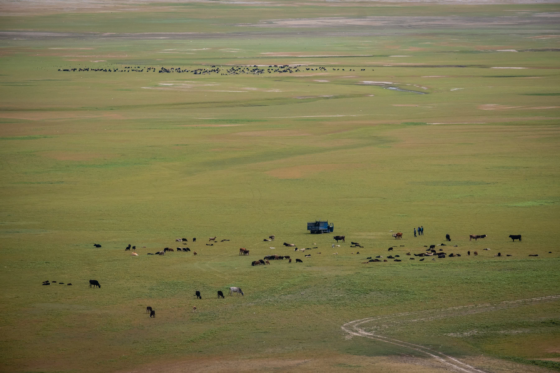 Sheperds bringing their sheeps to graze in what should be a filled reservoir of a hydro power plant on the Chu river. Due to a prolonged and recurrent drought in Central Asia and in particular in mountanious Kyrgyzstan, rivers and their water volume have decreased dramatically , jeopardizing the production of electricity and agriculture yield in the countries further down the rivers. Ortotokoy reservoir, Issyk Kul region, Kyrgyzstan, August 2021