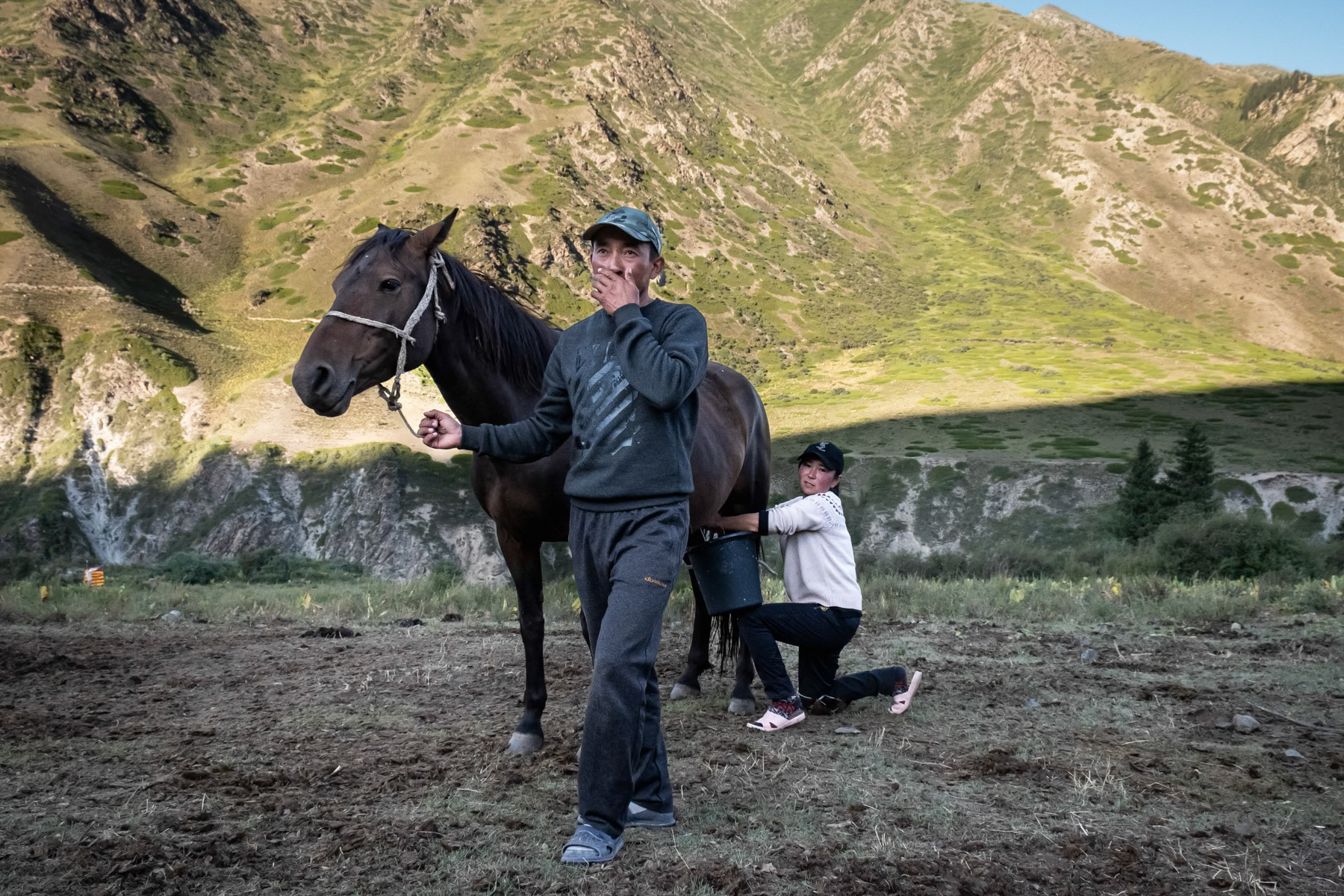 Horse breeders collecting milk at their high altitude summer camp. Mountains above Eki Naryn, Naryn region, Kyrgyzstan, August 2021
