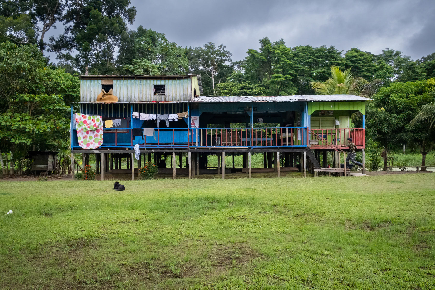Typical long house on pylons ready when water will reach the community during Amazonian high water season. Indigenous community of San Antonio de Cacao, Peru, April 2022