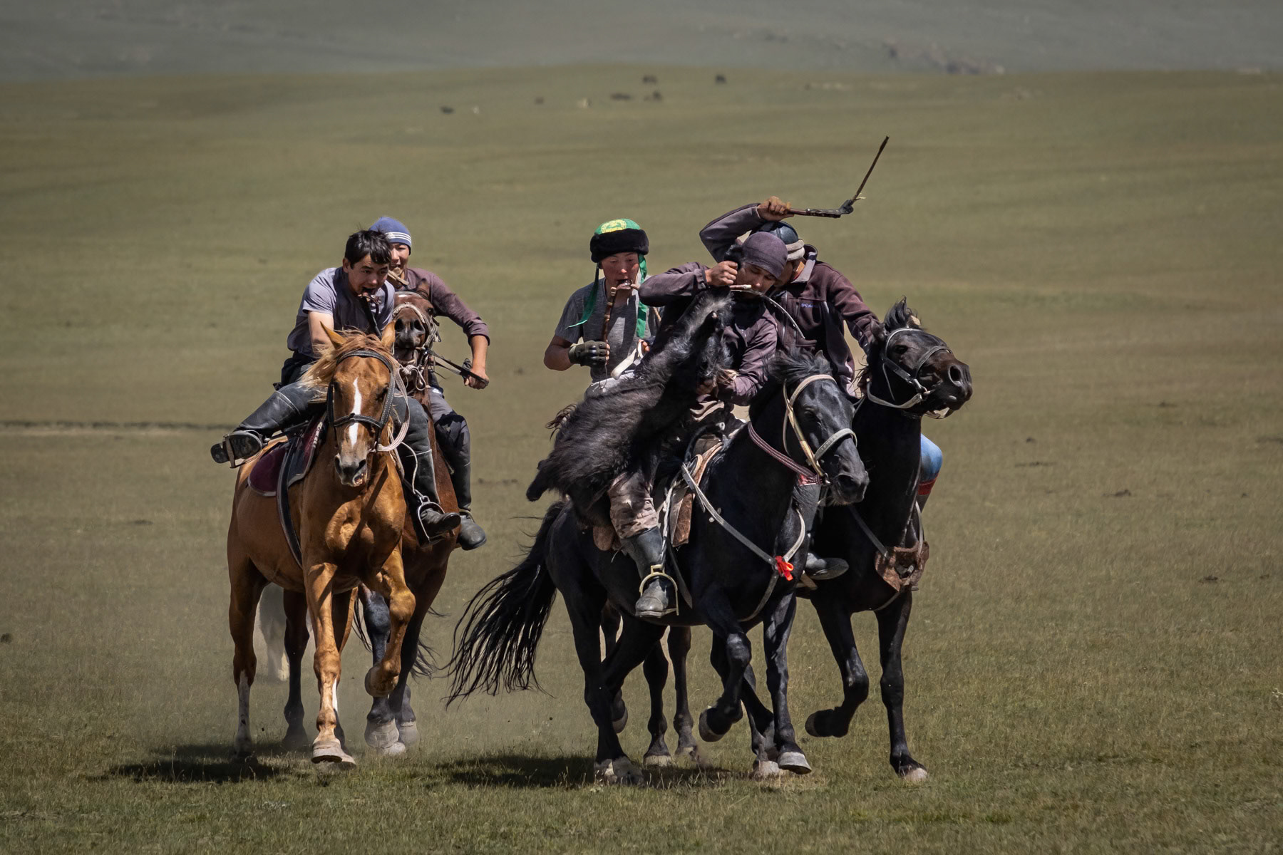 One Kok Boru player getting away with the 'ulak', a goat's carcass to score a goal. Kok Boru is a traditional horseback game consisting of dropping a dead goat carcass in the opponents' goal. In Kyrgyzstan and generally Central Asia and Afghanistan it is considered a national sport and very popular. Son Kul Lake, Naryn region, Kyrgyzstan, August 2021