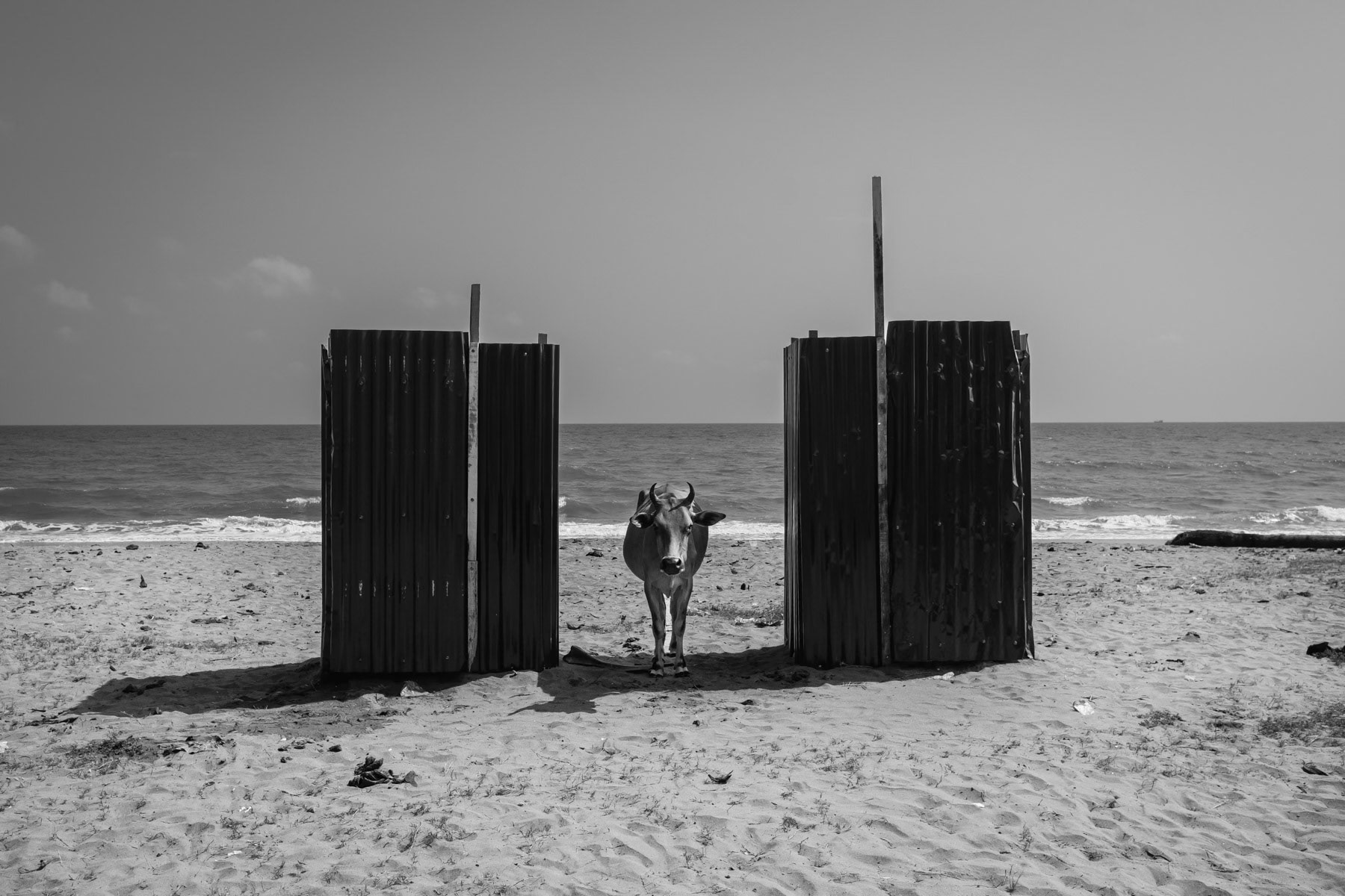 Latrines for Rohingya refugees stranded on this beach of Sumatra since they arrived as smuggled boat people from Myanmar. Pidie, Aceh on the Indonesian island of Sumatra, February 2024