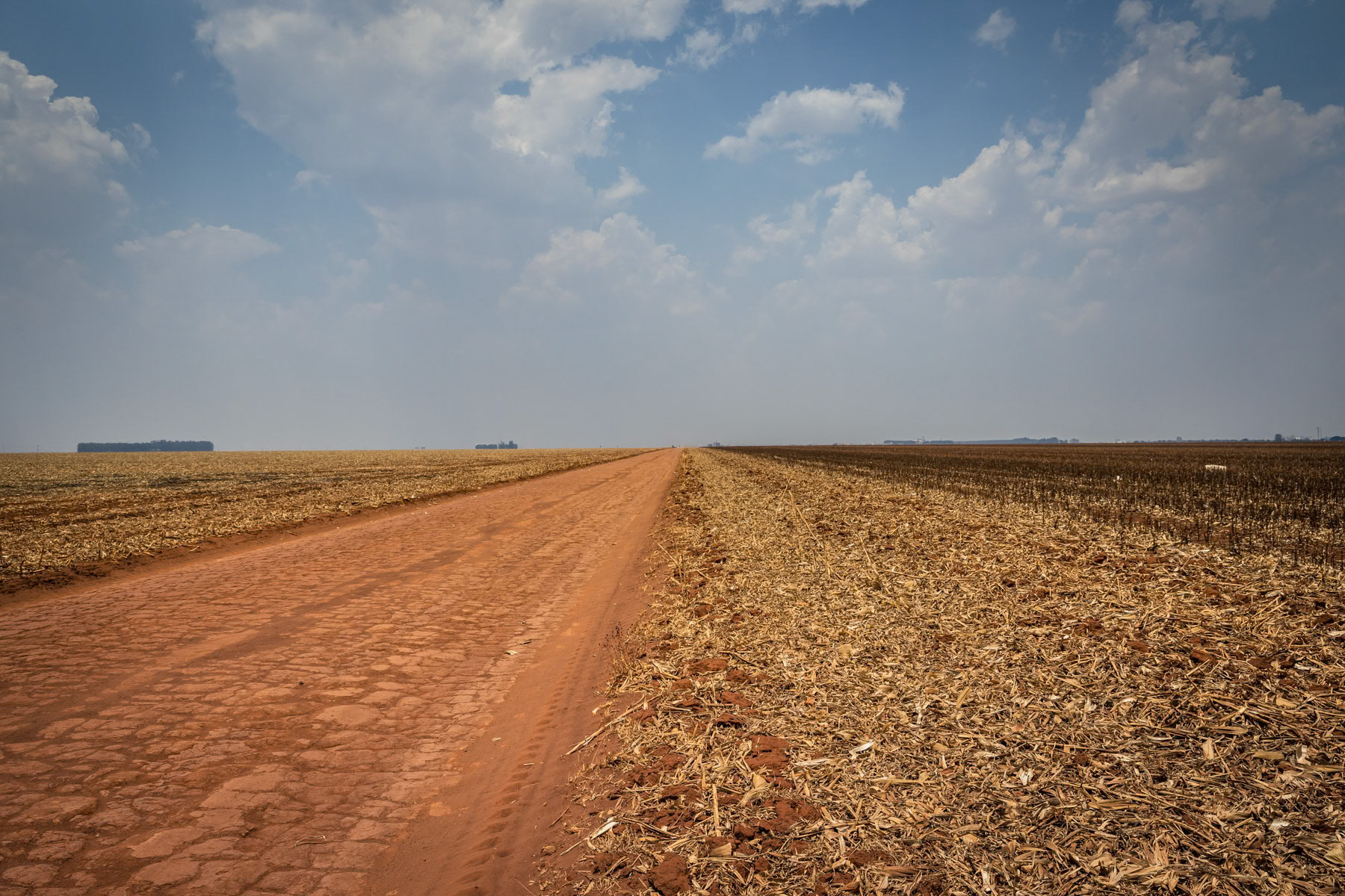 Access road through monoculture fields that replaced the Cerrado, a Savanna type biome that is the second largest ecosystem after the Amazon. These lands used to be inhabited by indigenous people that have now been driven into much smaller and vulnerable indigenous 'protected' areas. Campo Novo Do Parecis, Mato Grosso, Brazil, October 2020