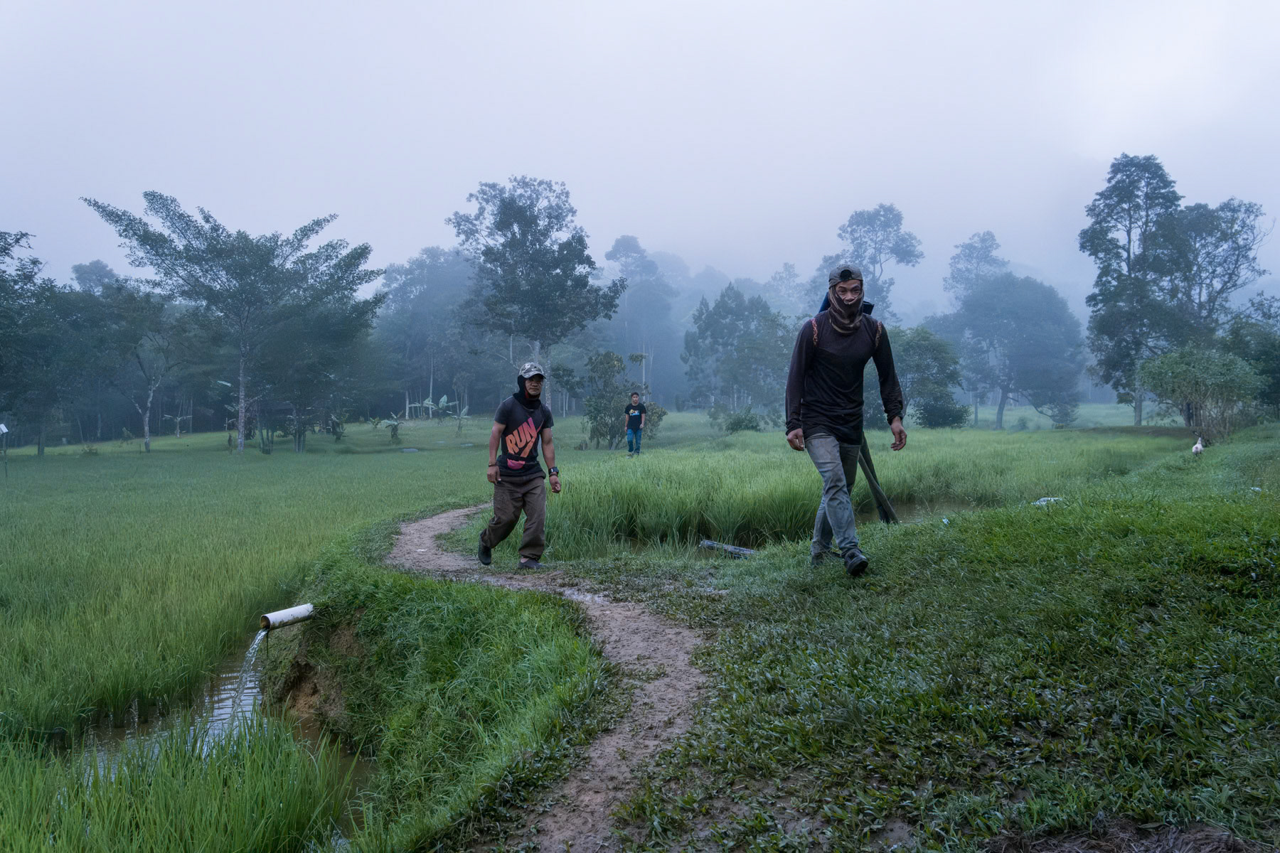 Indigenous people of the Penan community walking towards the town from their settlement on the edge of the rainforest to go working as daily labour in small local farms. Bario in Sarawak, Borneo, Malaysia, October 2023