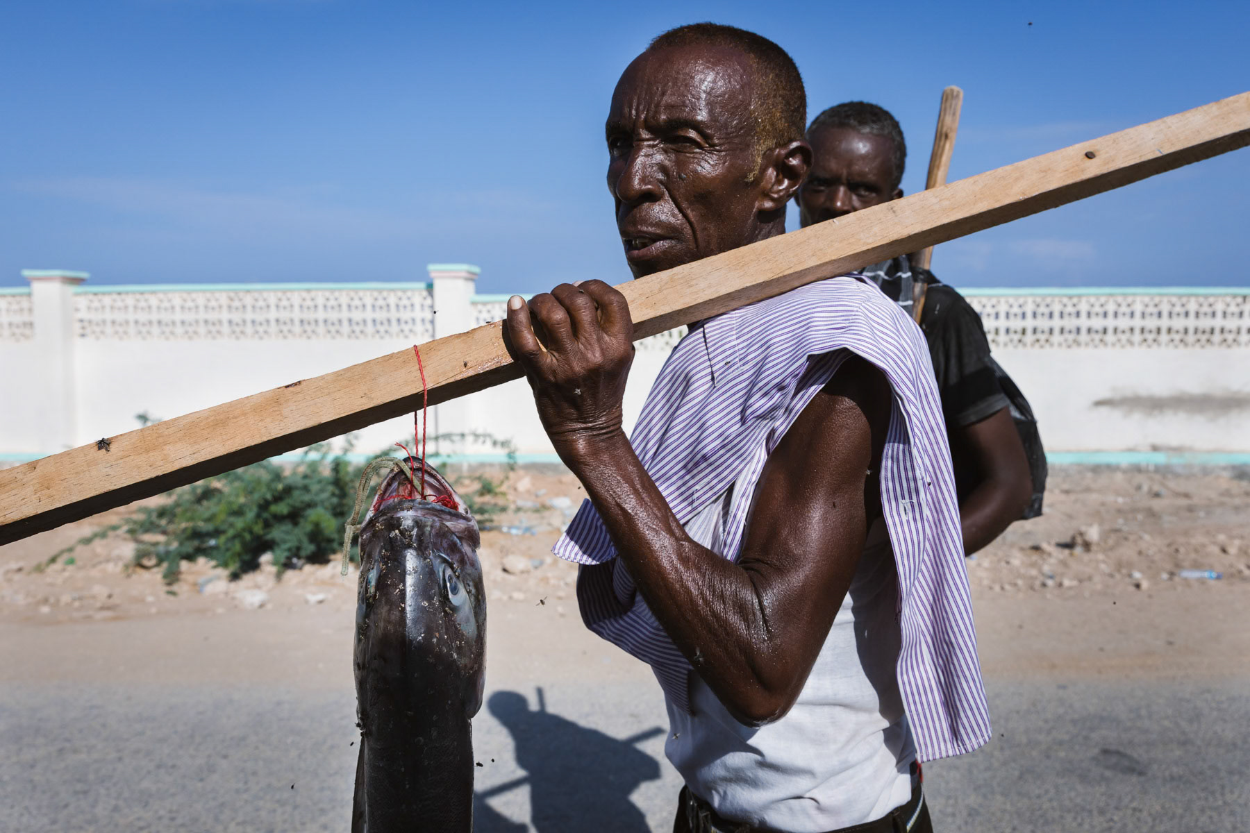 Somali fishermen going to the market selling their catch. Somaliland remains mainly a pastoralist society, but with persistent droughts more and more people have to seek alternative ways of income. Berbera town, Somaliland, October 2017