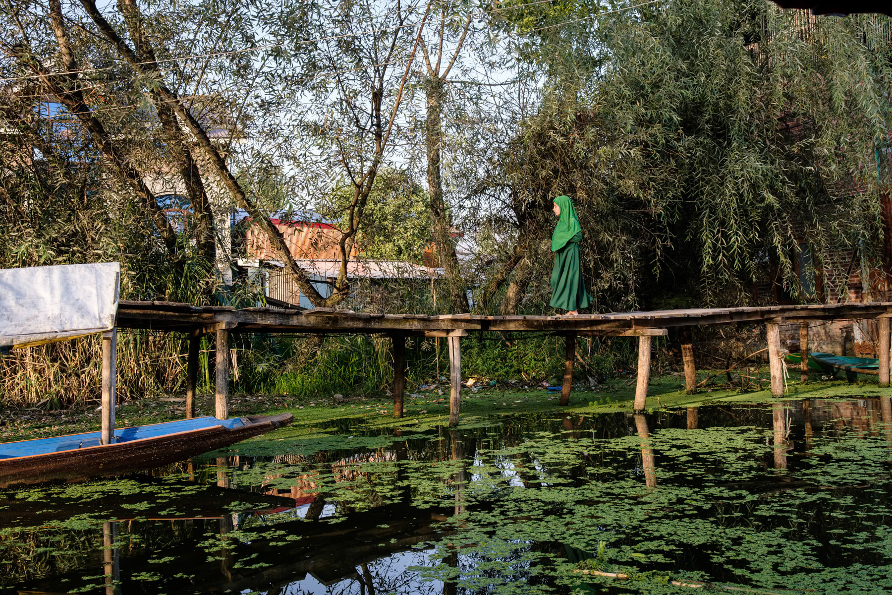 Back waters of Dal Lake in Indian administrated Kashmir, Srinagar, September 2023