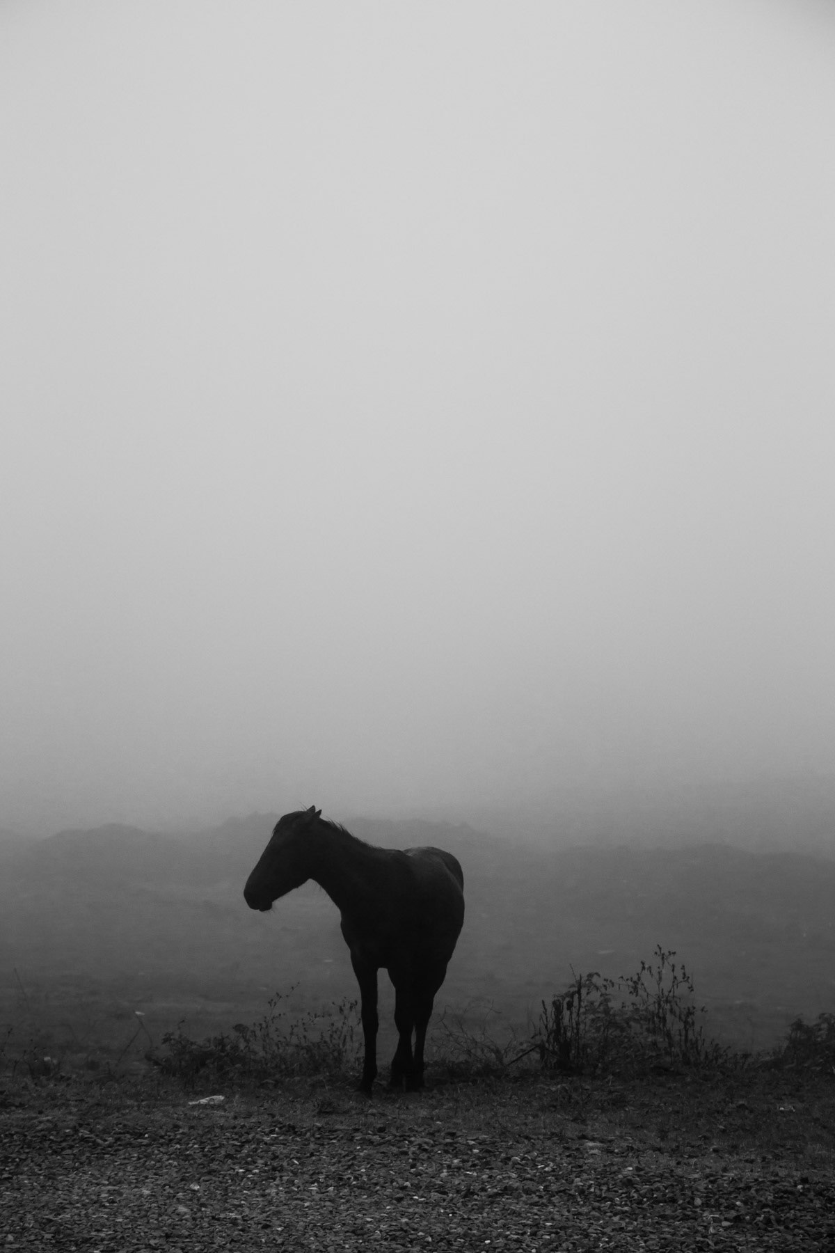 Karabakh horse between Drmbon and Garnakar, October 2013 The territory of Nagorno-Karabakh is internationally recognised as part of neighbouring Azerbaijan. Factually, it is independent, accessible only from Armenia where its alive life-links stream as well. Also known as Artsakh, scarcely populated by people of Armenian origins, with long strips of abandoned towns that were erased by the long war just after the collapse of the Soviet Union. Nagorno-Karabakh lives with its scars and its heritage.