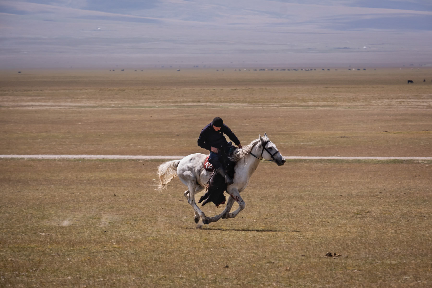 Kok Boru player with a goat carcass. Kok Boru is a traditional horseback game consisting of dropping a dead goat carcass in the opponents' goal. In Kyrgyzstan and generally Central Asia and Afghanistan it is considered a national sport and very popular. Son Kul Lake, Naryn region, Kyrgyzstan, August 2021