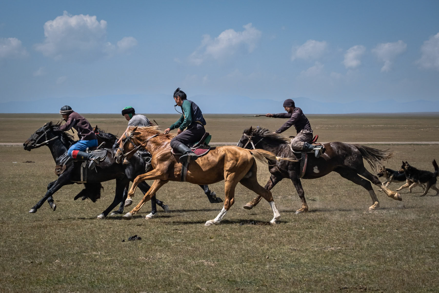 One Kok Boru player getting away with the 'ulak', a goat's carcass to score a goal. Kok Boru is a traditional horseback game consisting of dropping a dead goat carcass in the opponents' goal. In Kyrgyzstan and generally Central Asia and Afghanistan it is considered a national sport and very popular. Son Kul Lake, Naryn region, Kyrgyzstan, August 2021