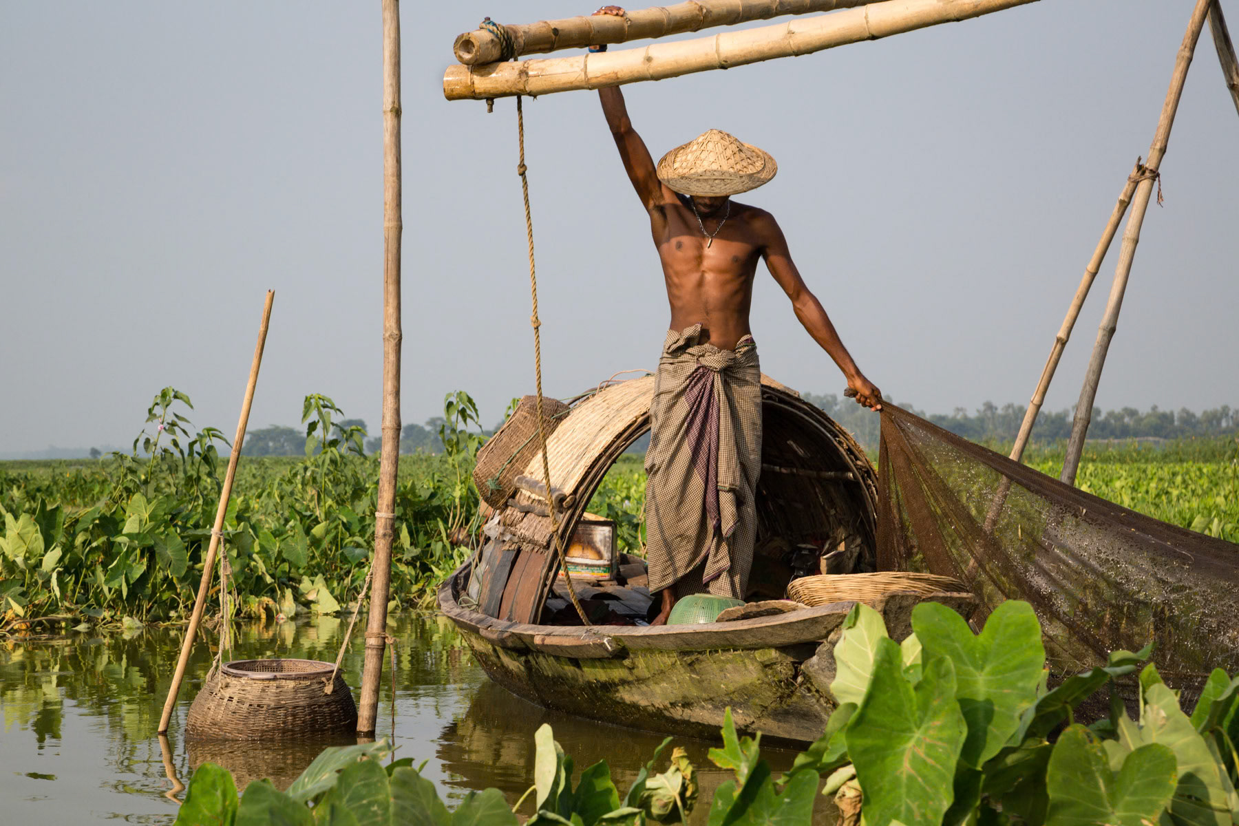 Bikkabil wetlands, Srimangal, Bangladesh, September 2014